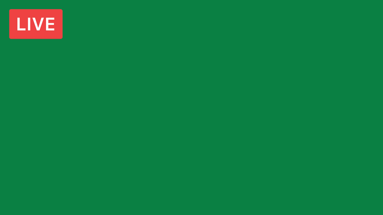 live-demo.gif