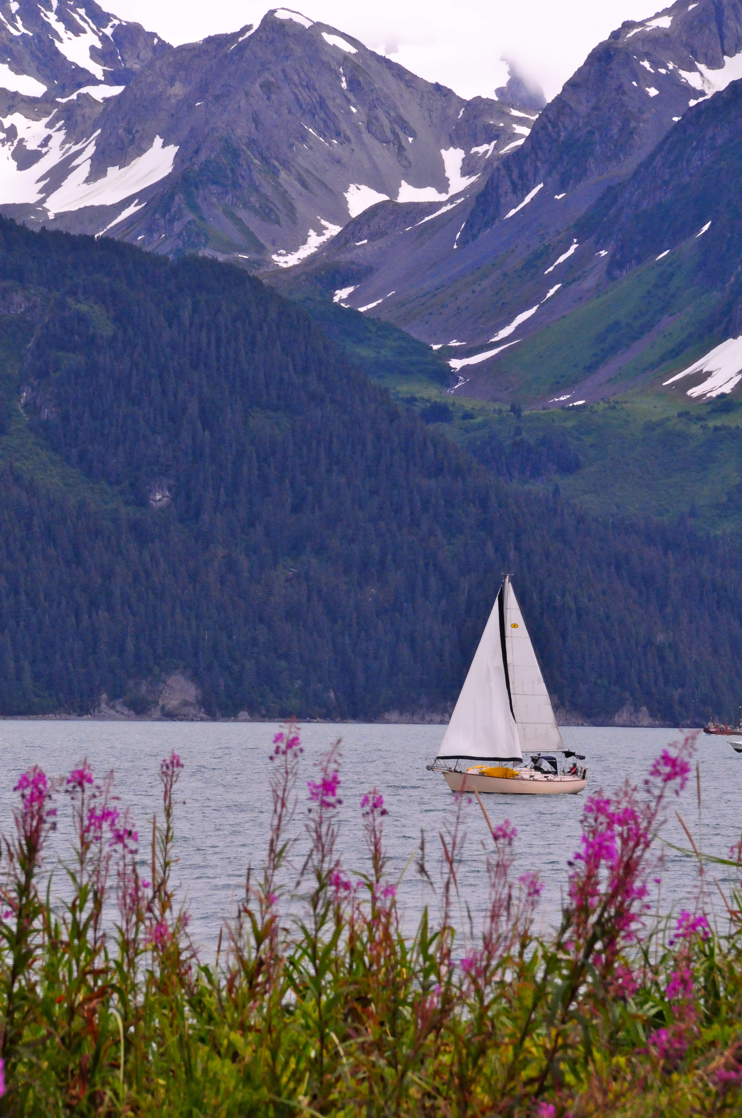 alaskasailboat.JPG