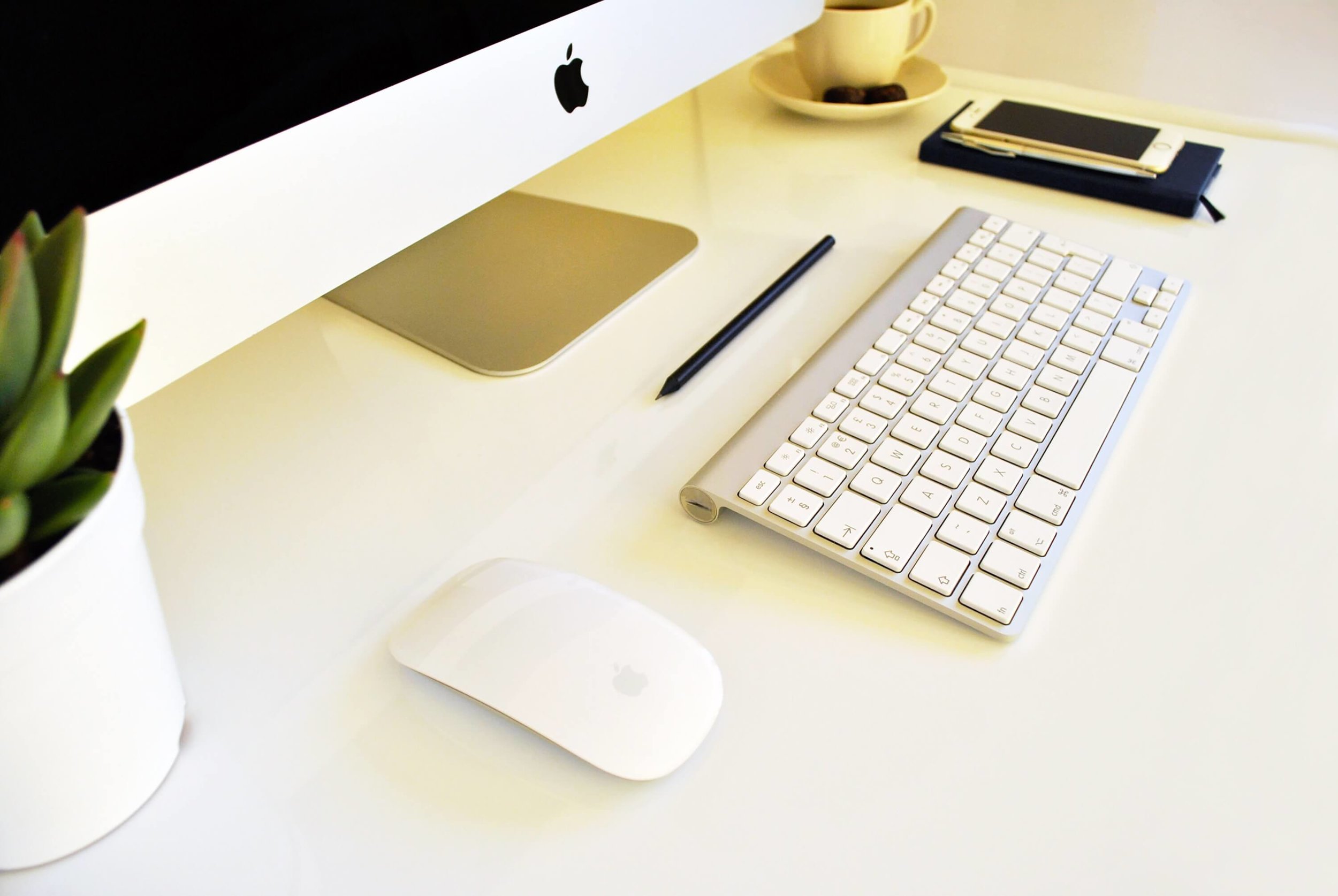 TSS-header.jpg