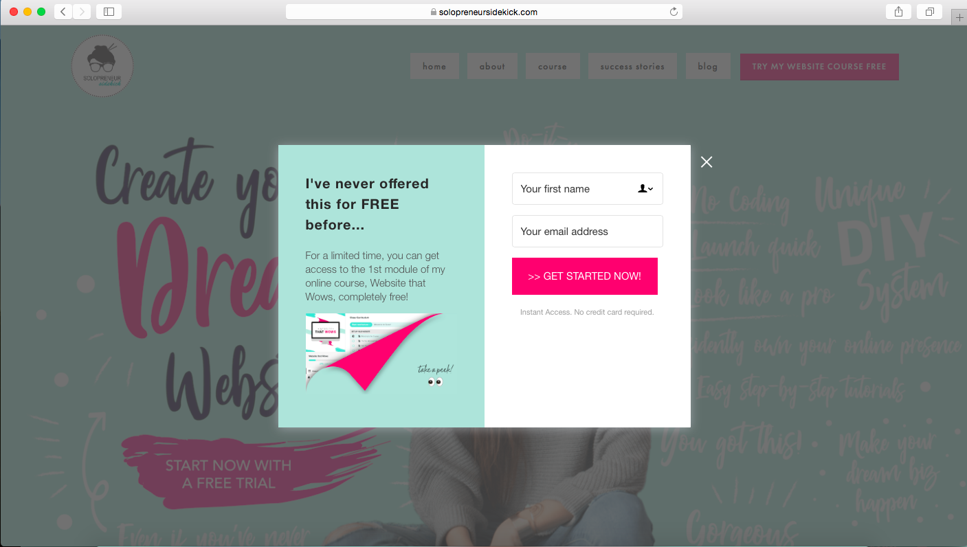 Solopreneur Sidekick email newsletter opt in on website.png