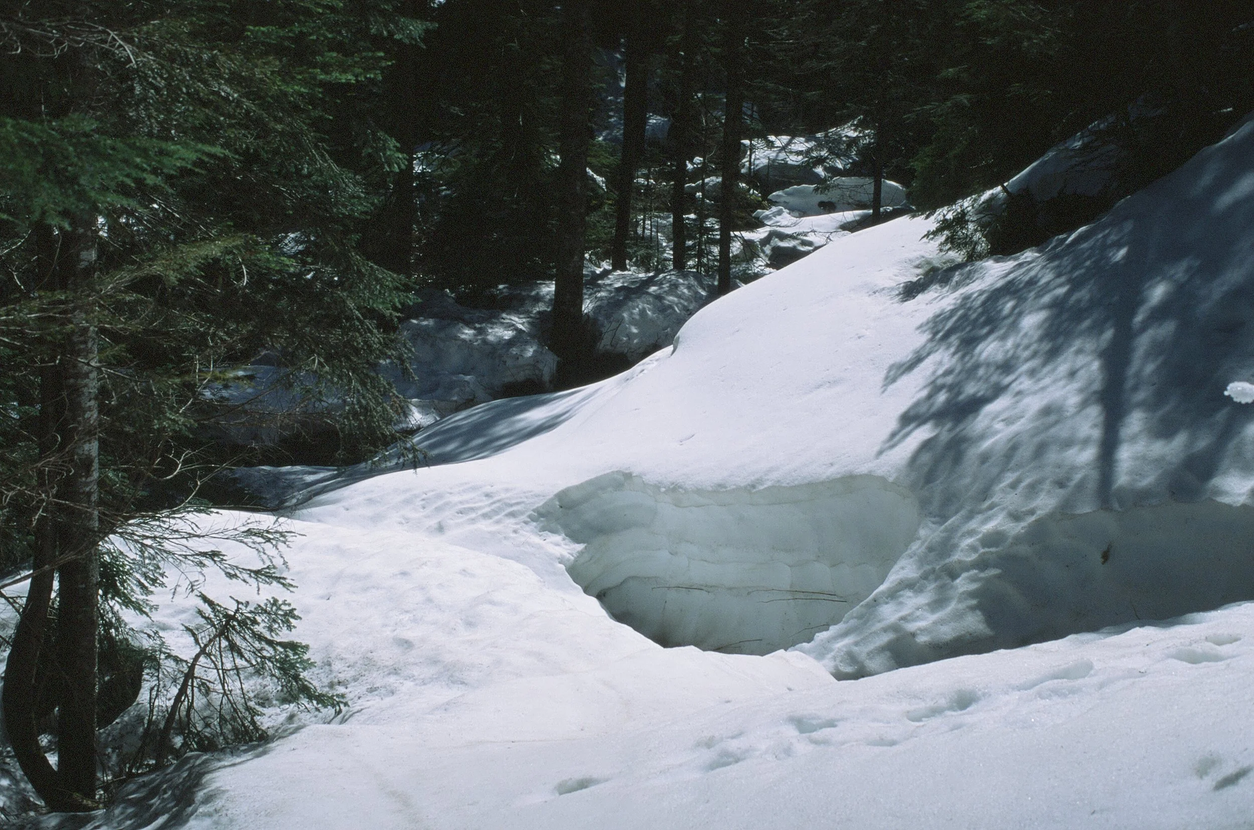 Dylan-Melcher-photography_015.jpg