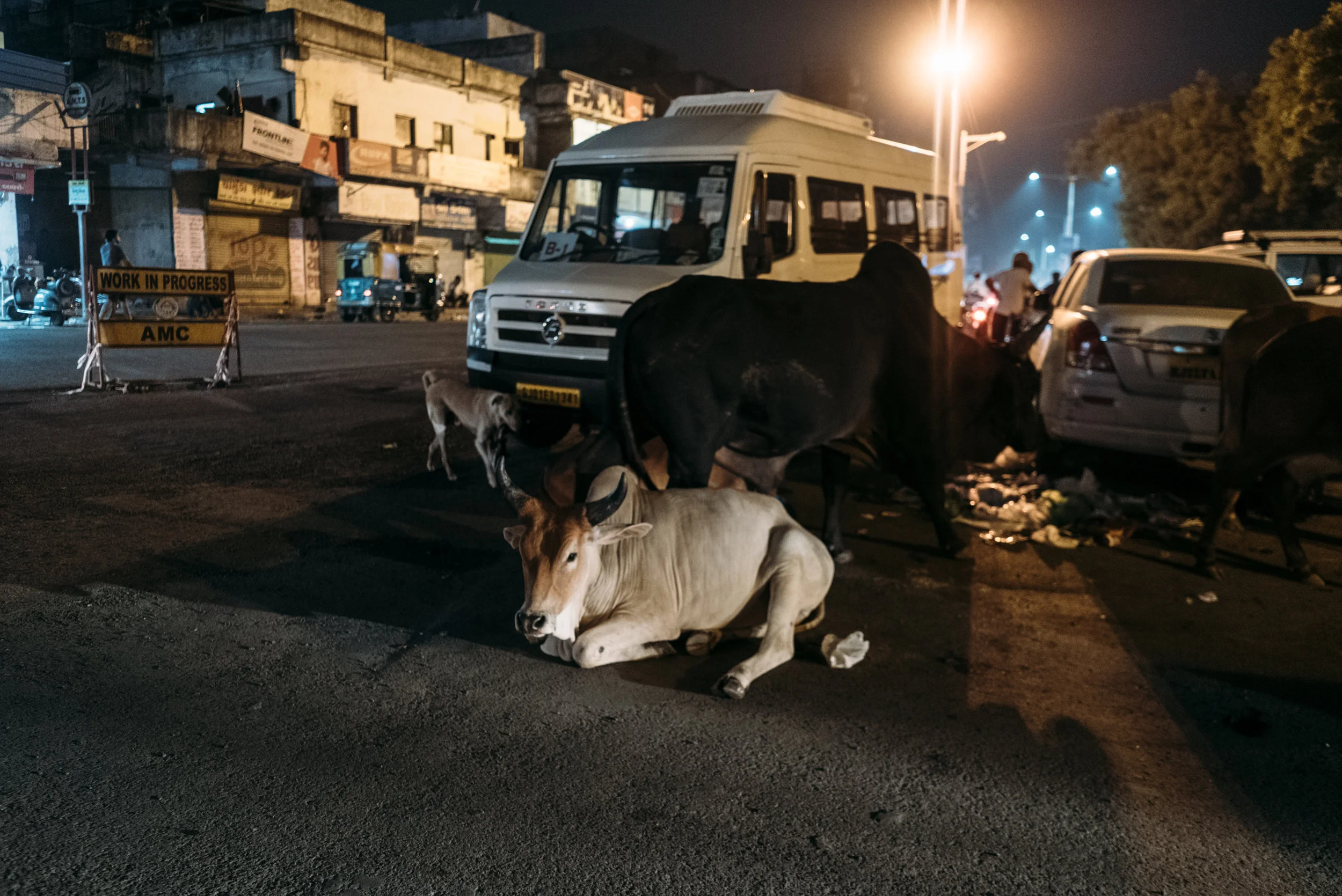 dylan-melcher-photography-india-travels_17.jpg
