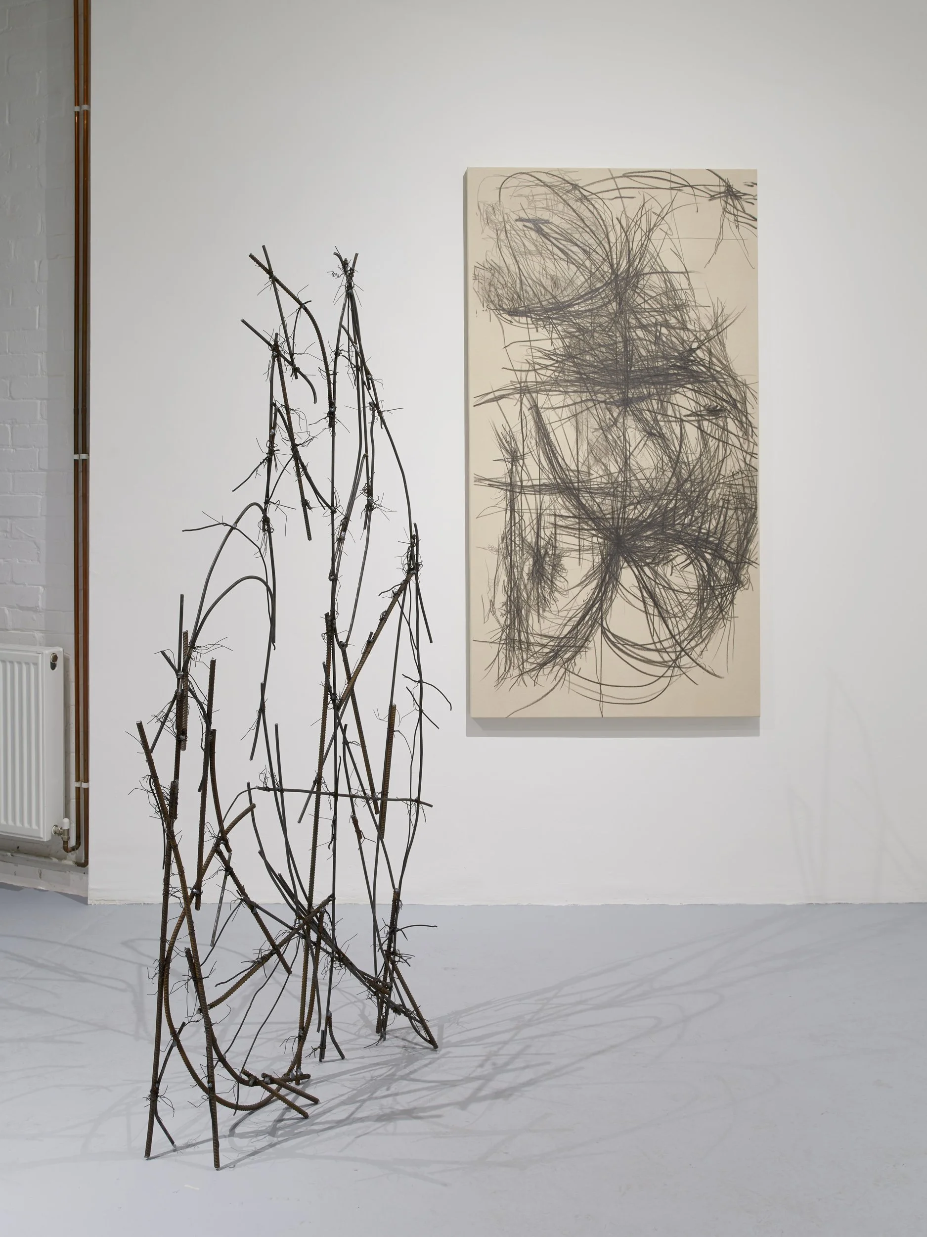 EVELINA HÄGGLUND, MINH LAN TRAN, Install 13.jpg