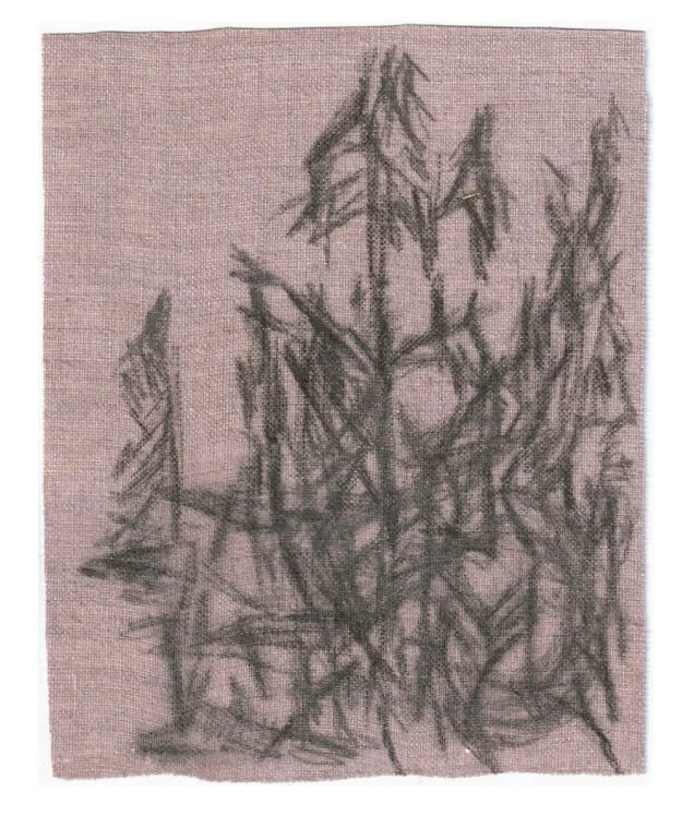 incubator-evelina-hagglund-untitled-2022.jpg