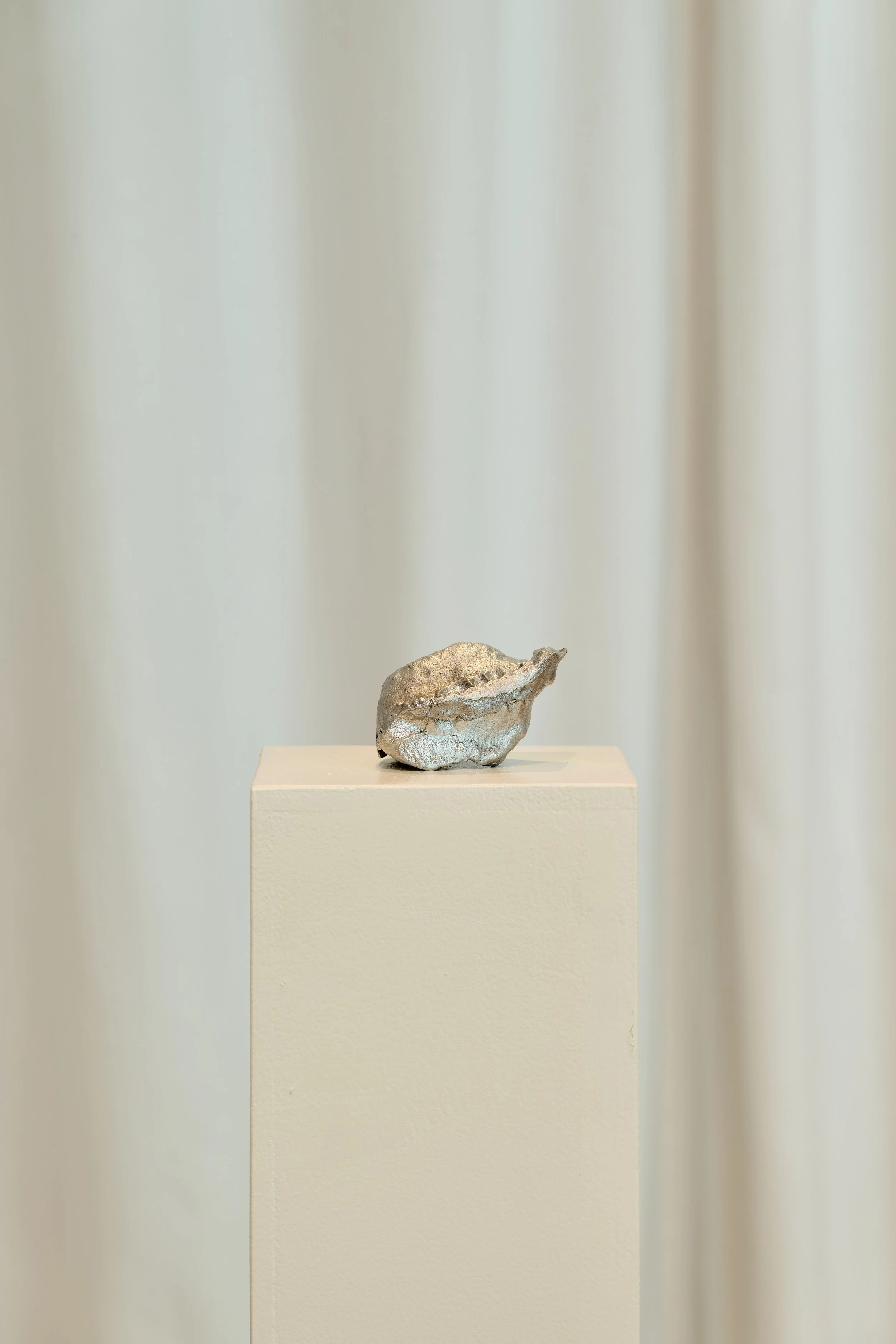 exhibitionvies_Markus Gradwohl (30).jpg