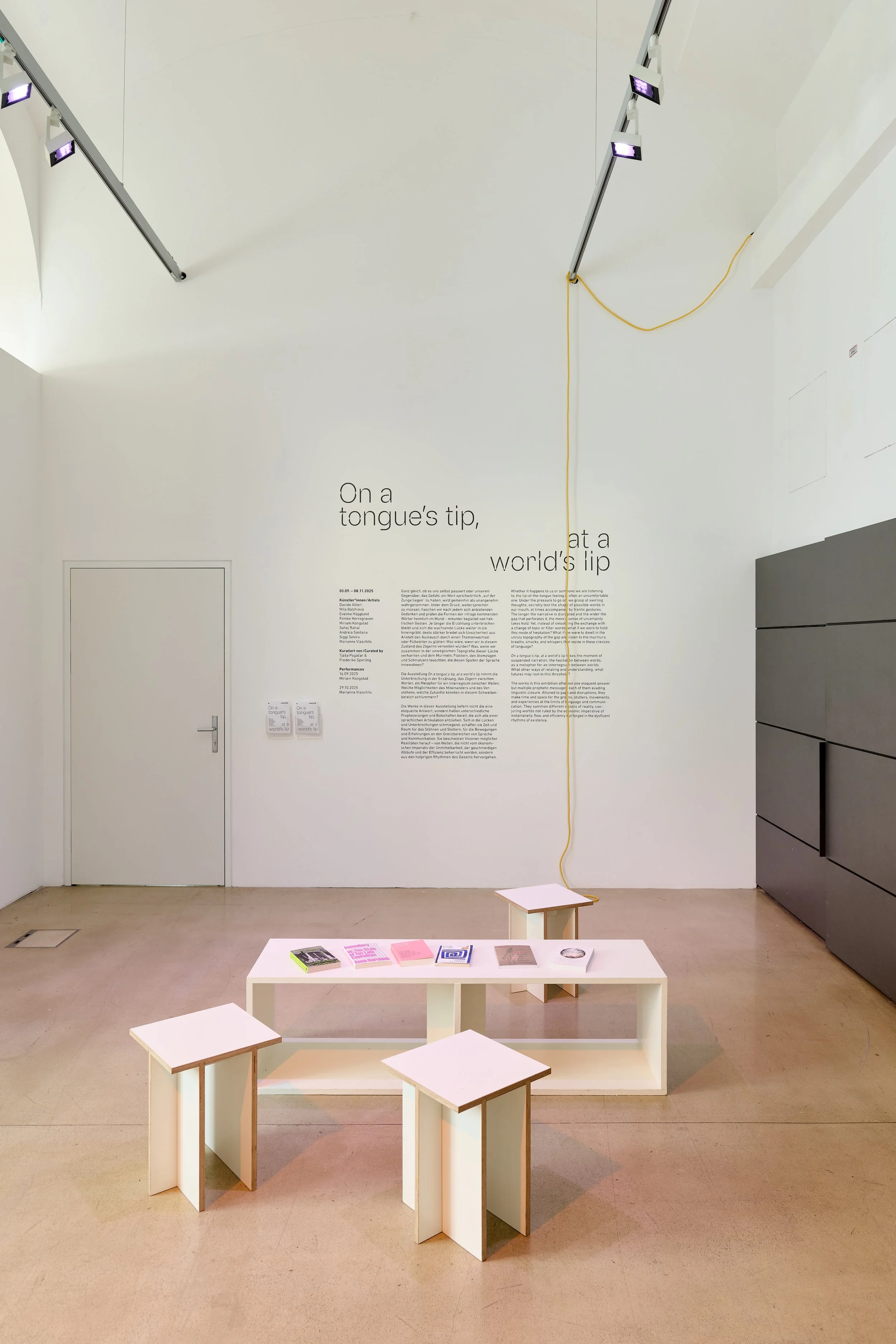 exhibitionvies_Markus Gradwohl (52).jpg