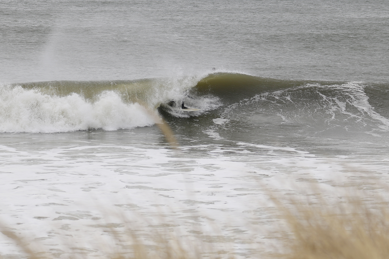 3-3-18 Lido Barrel 9.jpg