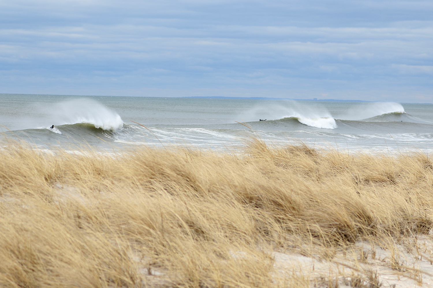 3-3-18 Lido Waves Grass 1.jpg