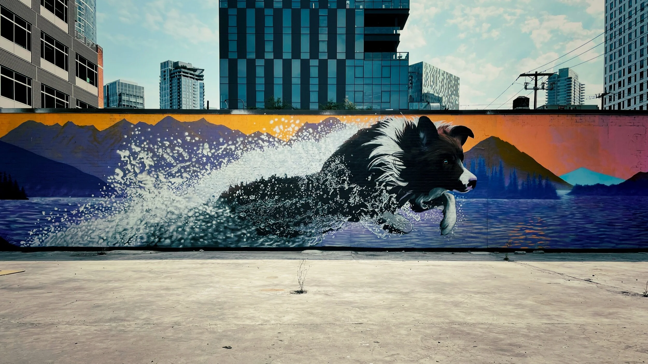 IMG_0800 Edited.jpeg