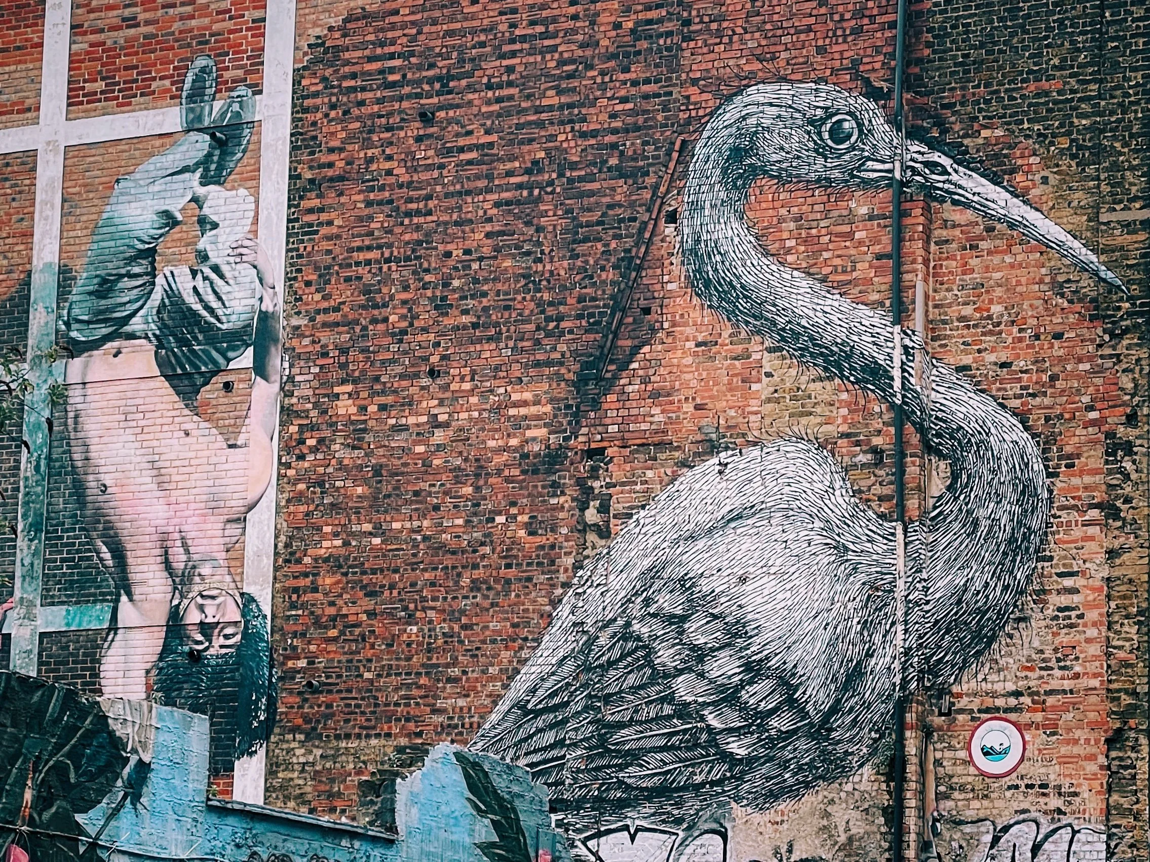 IMG_1482 1 Edited.jpeg