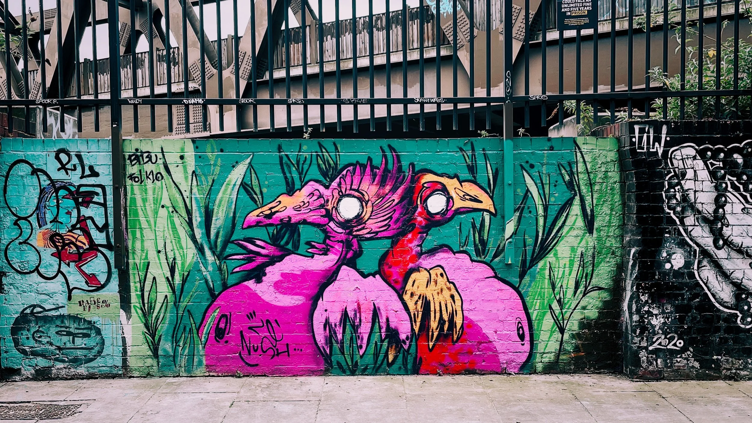 IMG_1487 2 Edited.jpeg