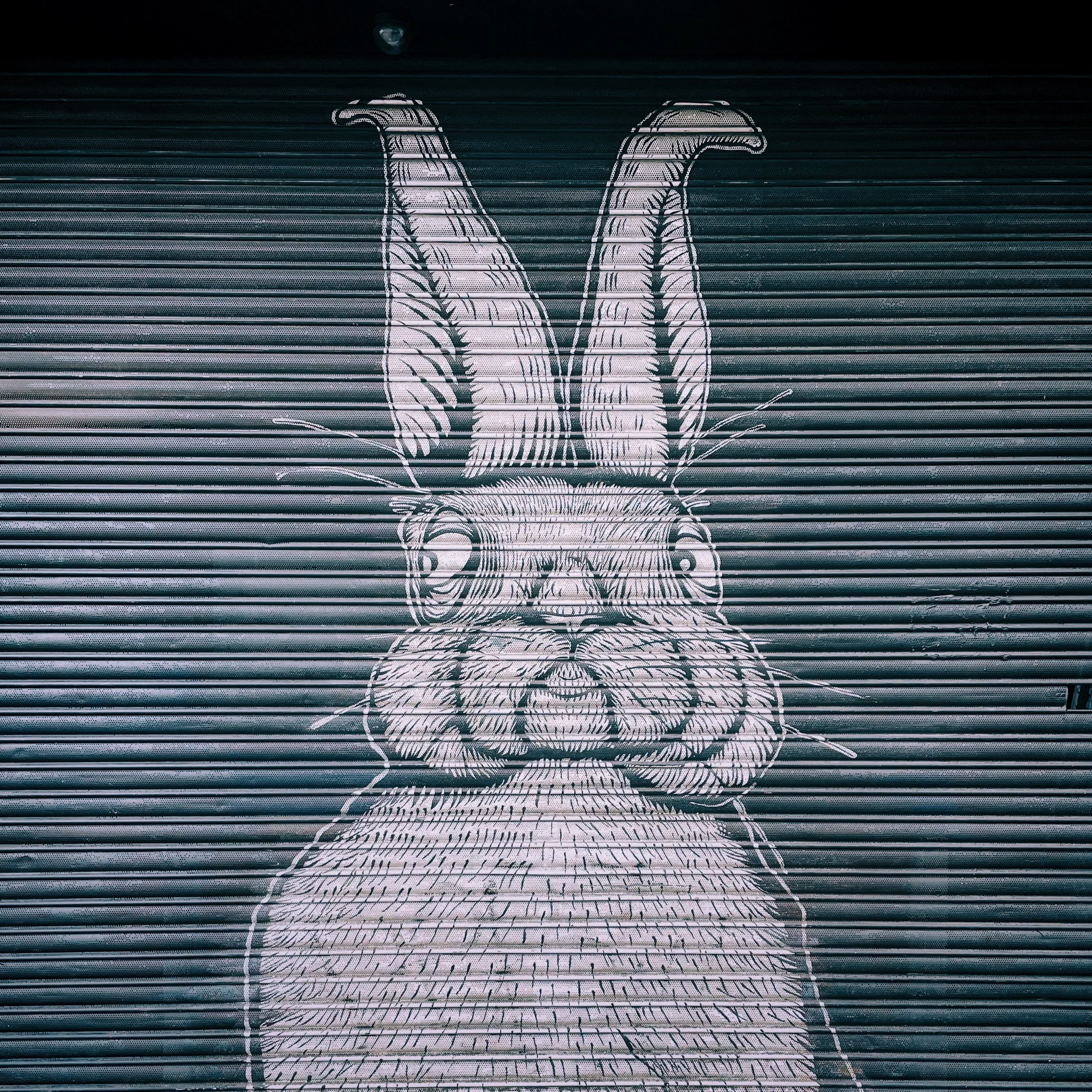 IMG_1810 29 Edited.jpeg