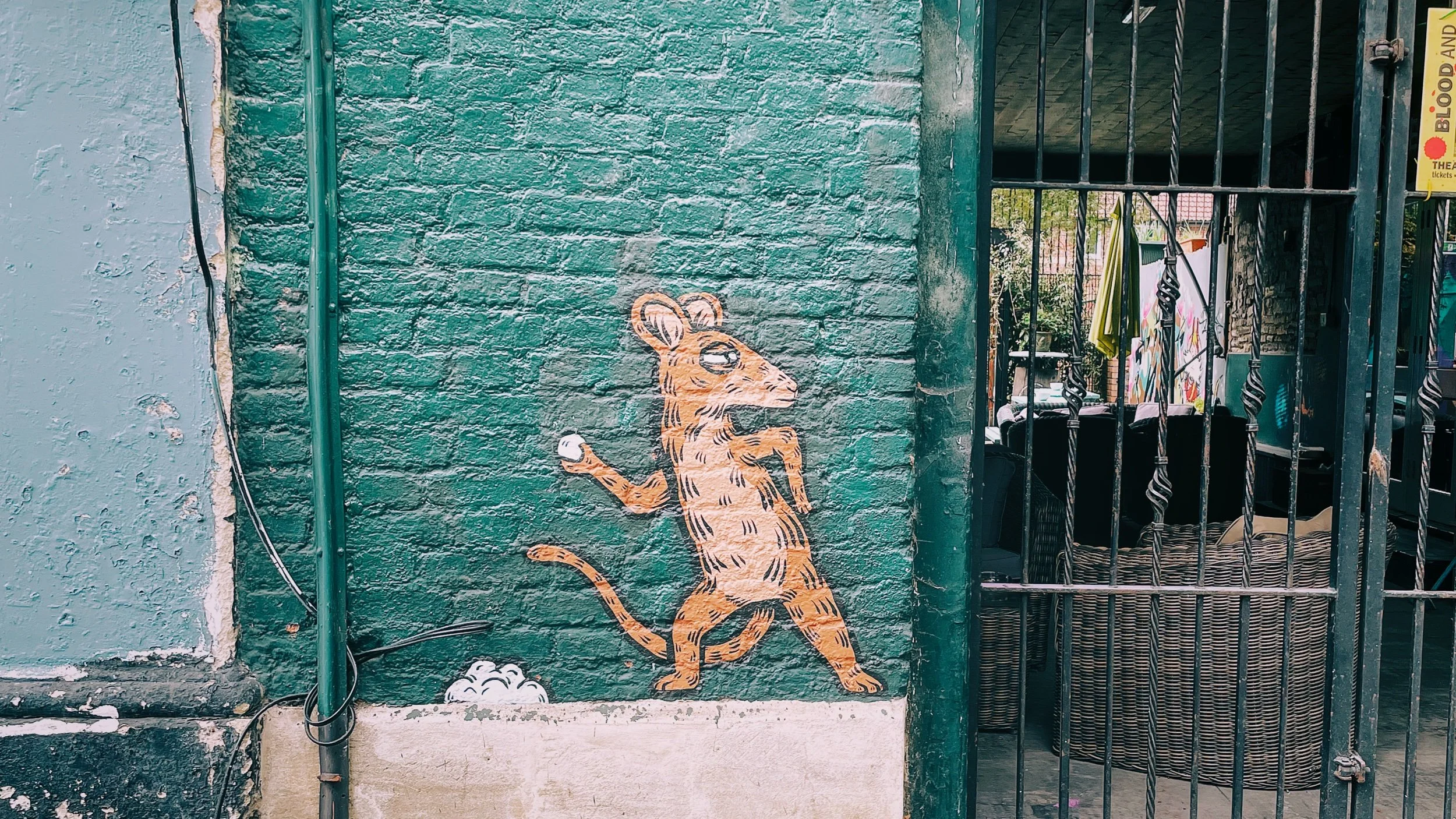 IMG_1752 8 Edited.jpeg