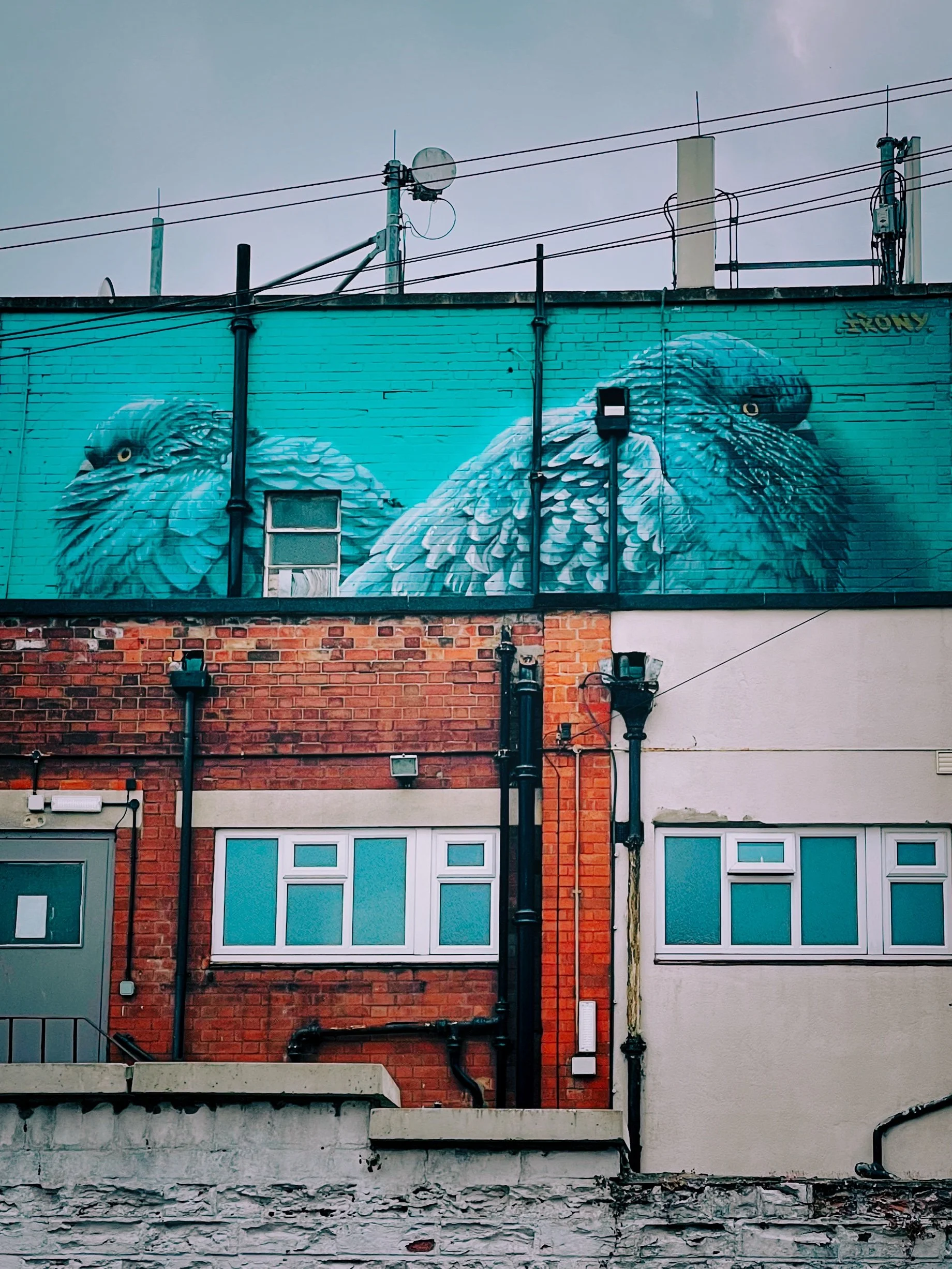 IMG_1776 18 Edited.jpeg