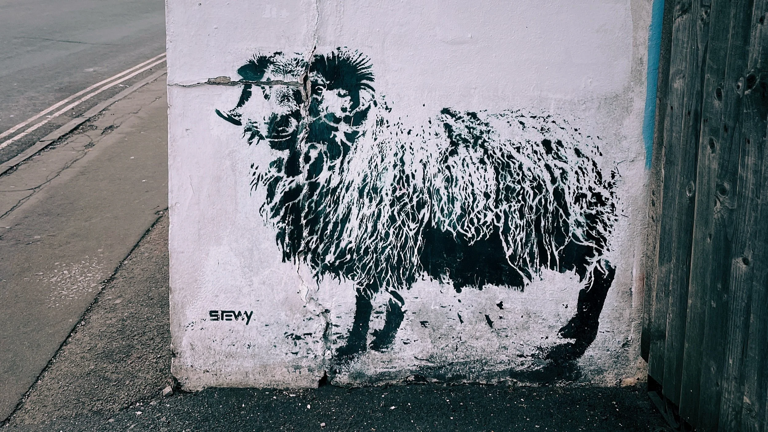 IMG_1766 14 Edited.jpeg