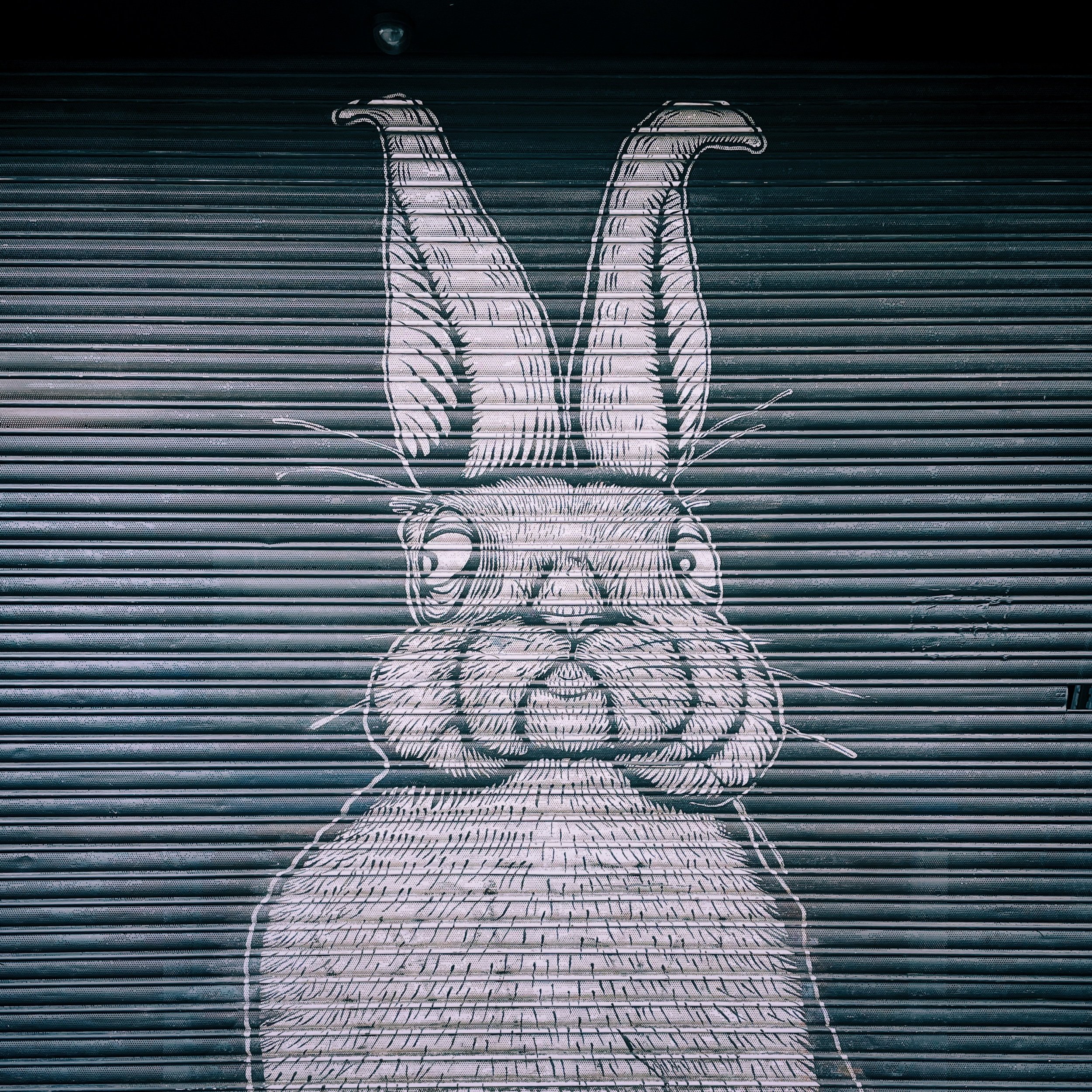 IMG_1810 29 Edited.jpeg