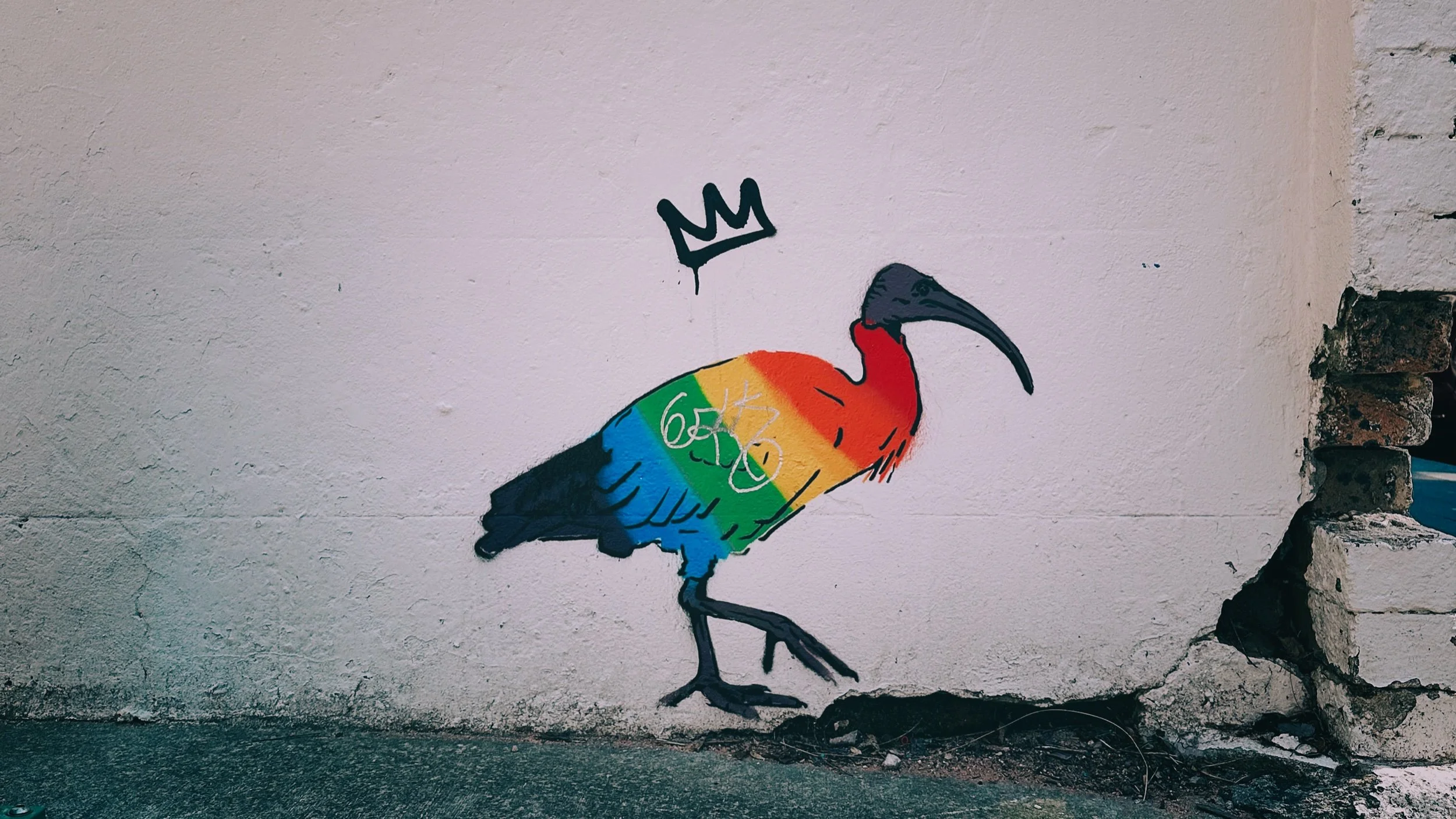 IMG_4056 1 Edited.jpeg