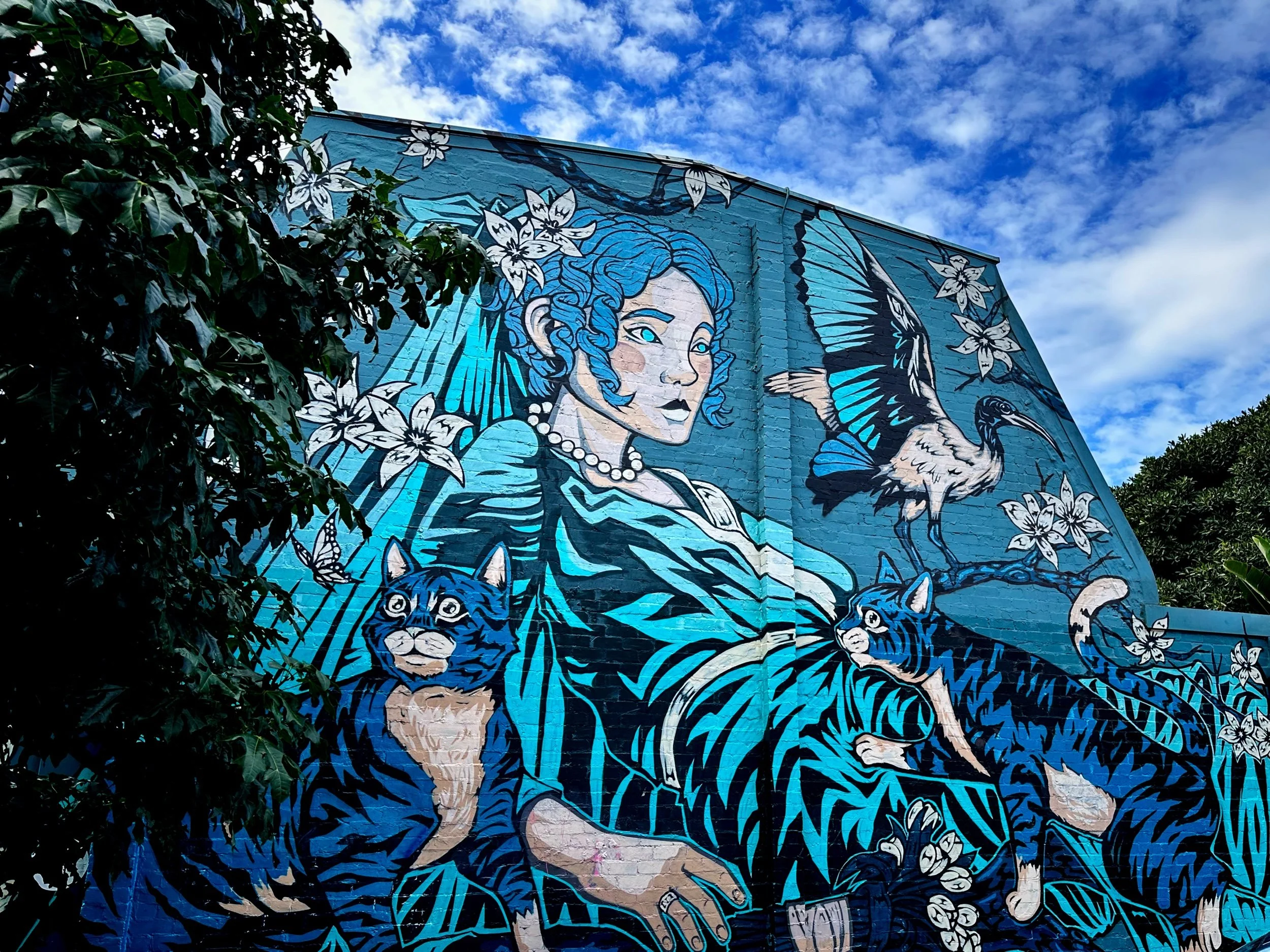 IMG_3963 9 Edited.jpeg