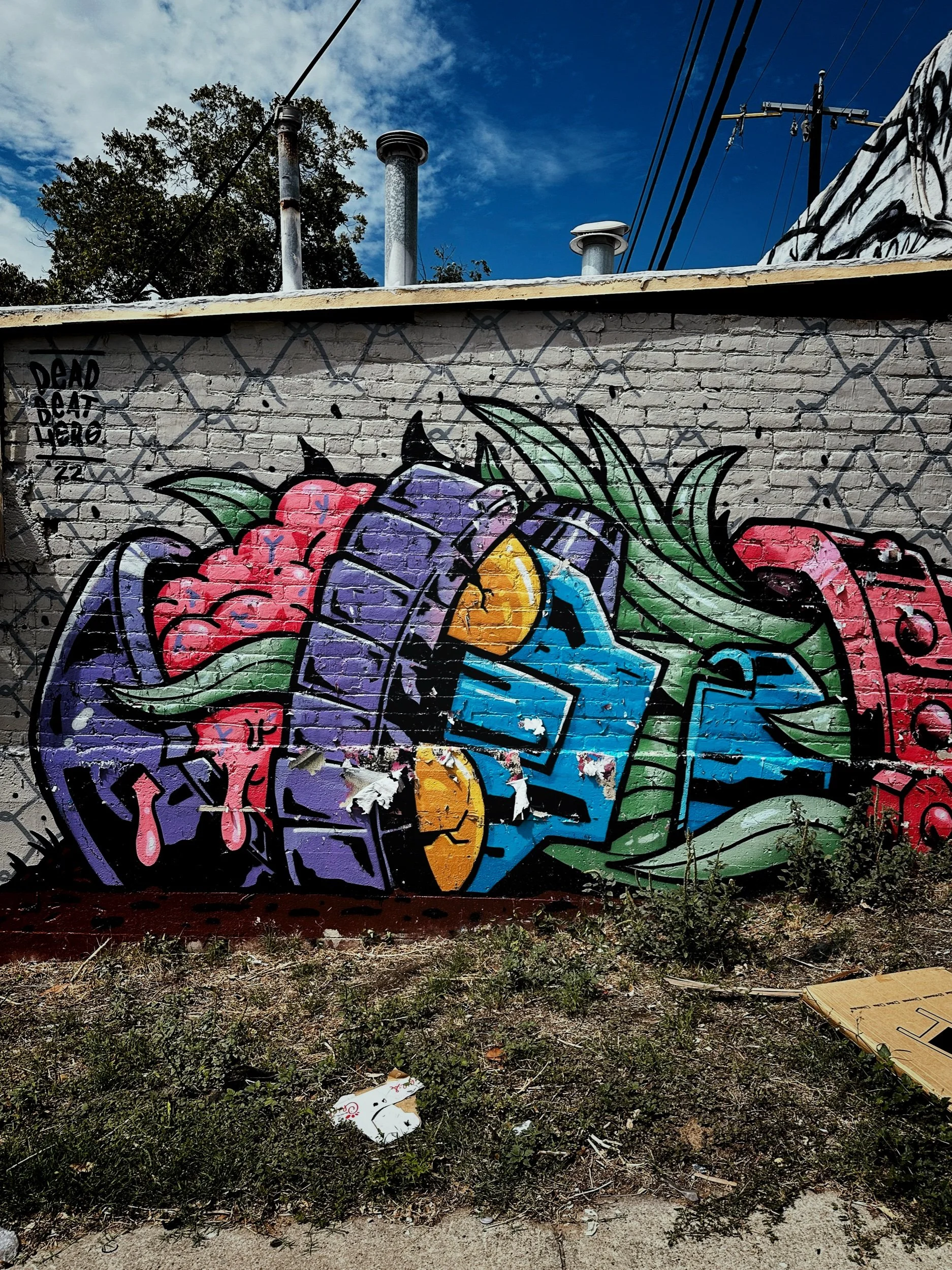 IMG_4245 5 Edited.jpeg