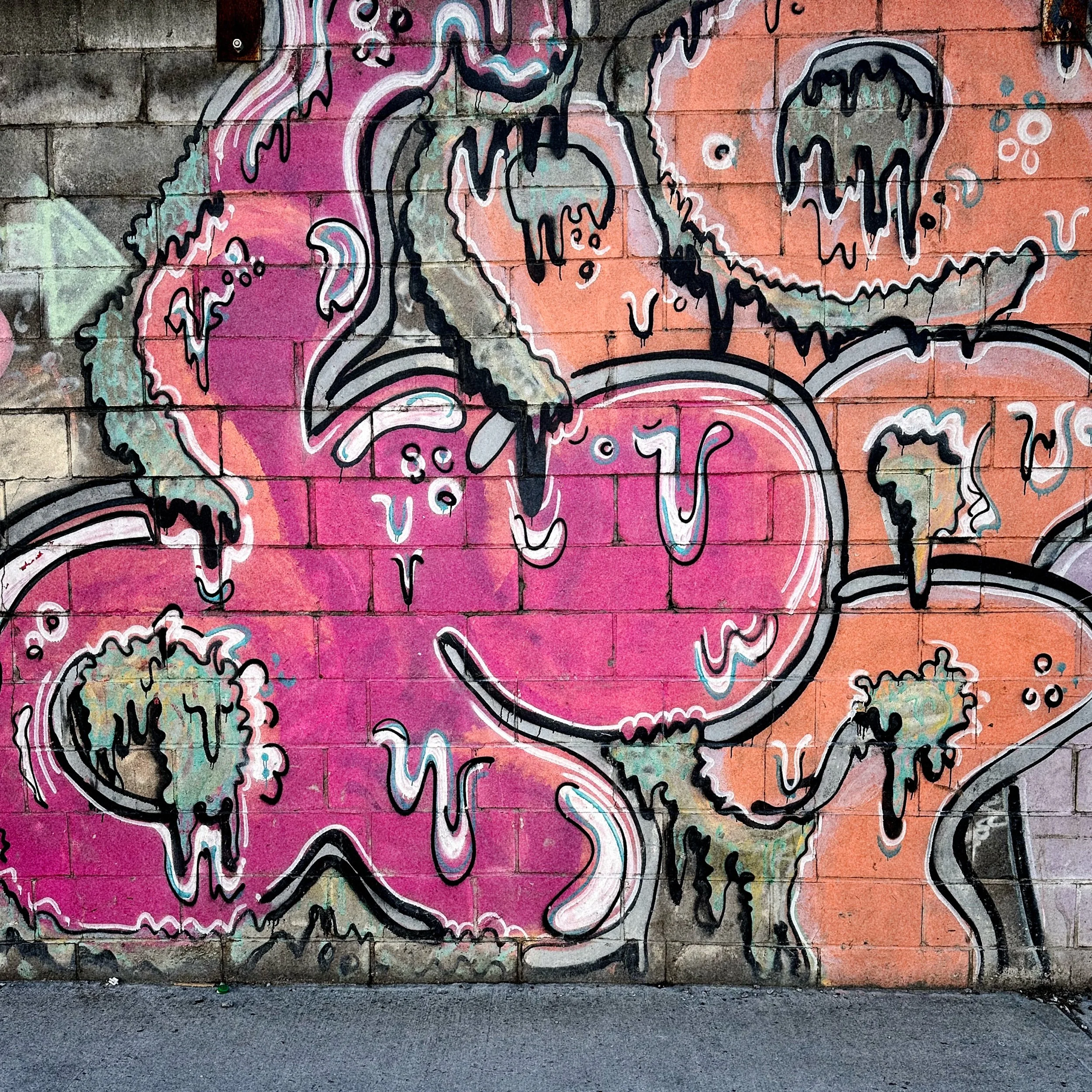 IMG_4530 8 Edited.jpeg