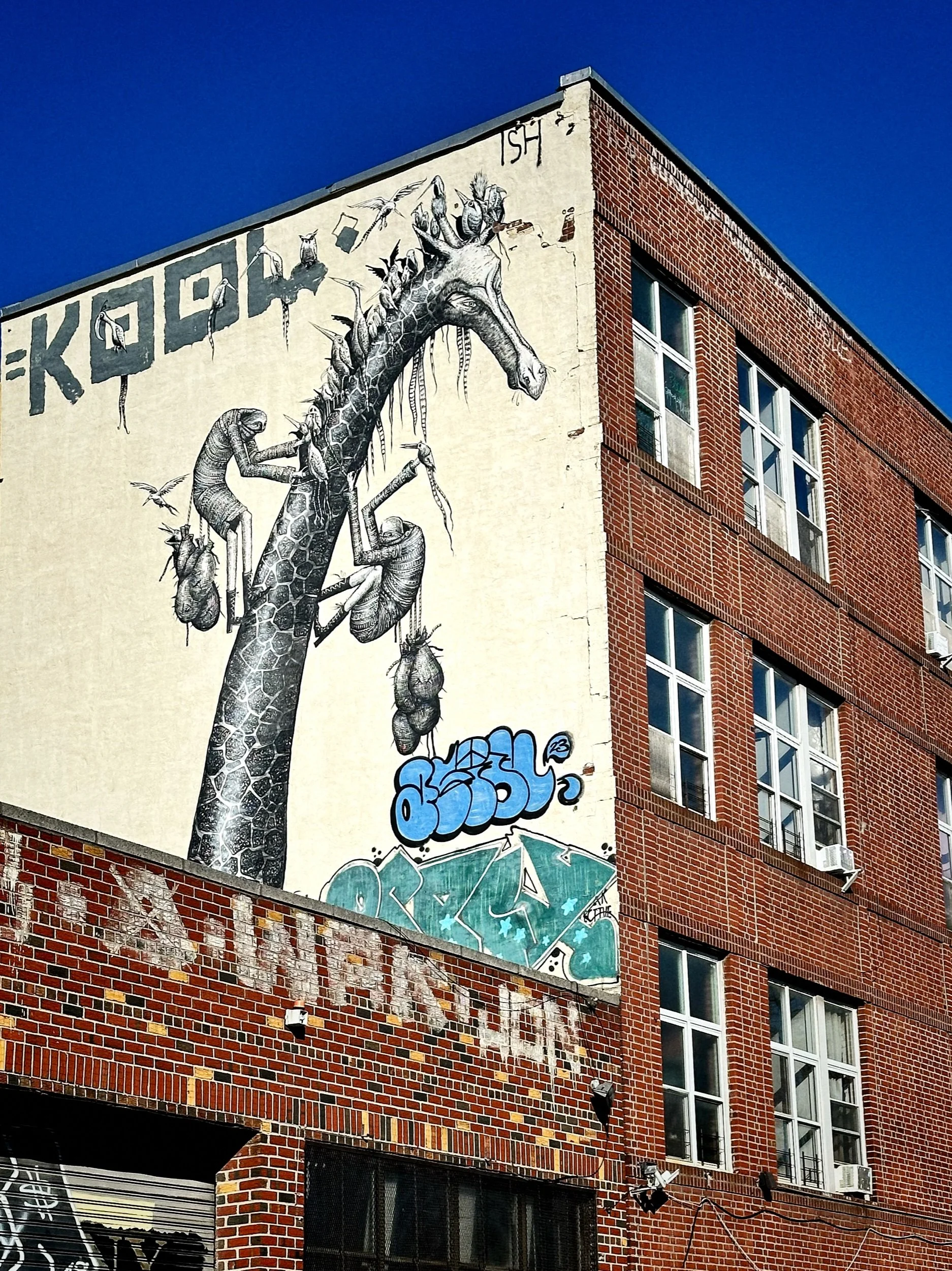 IMG_4517 3 Edited.jpeg