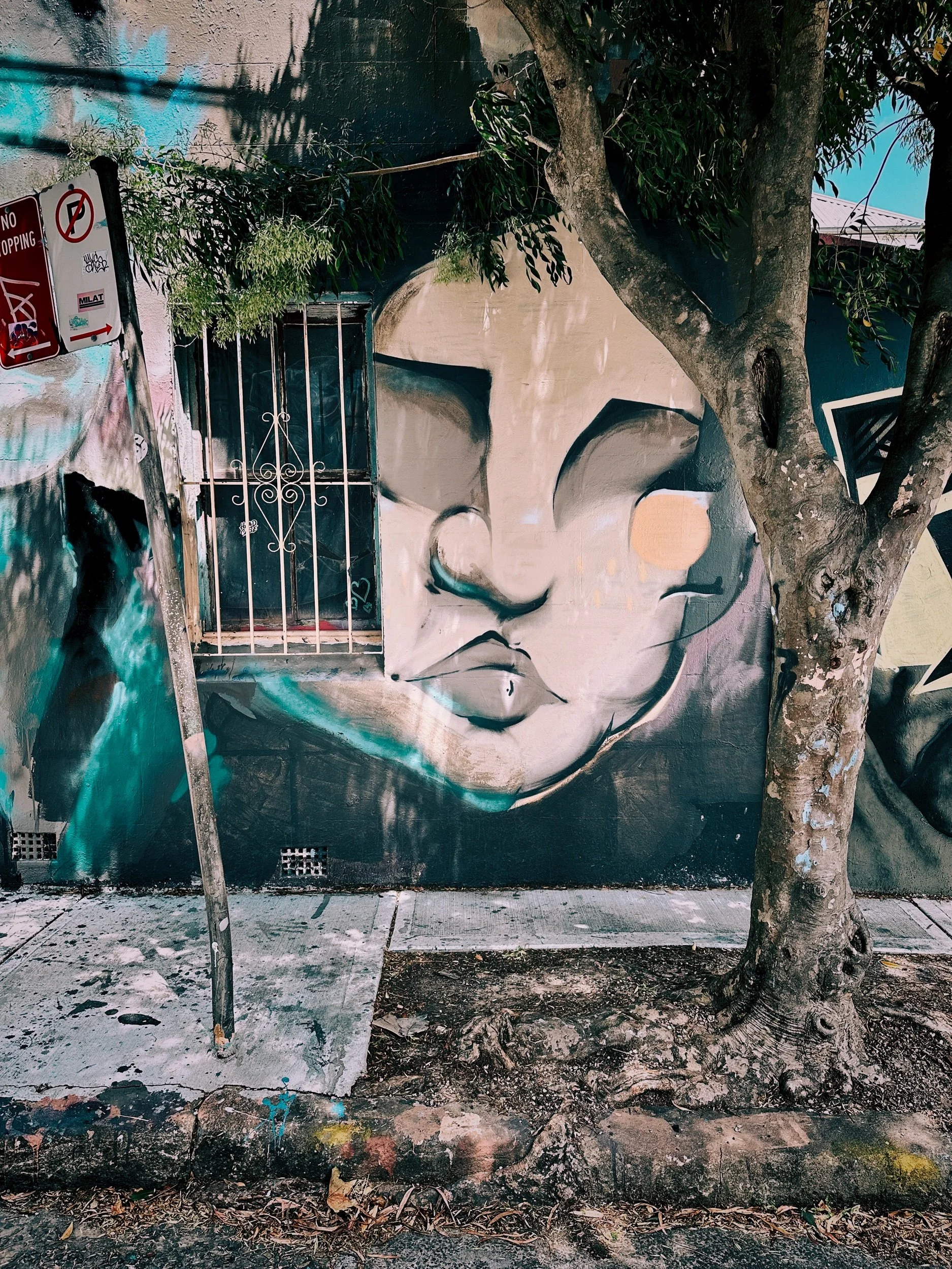 IMG_4743 6 Edited.jpeg