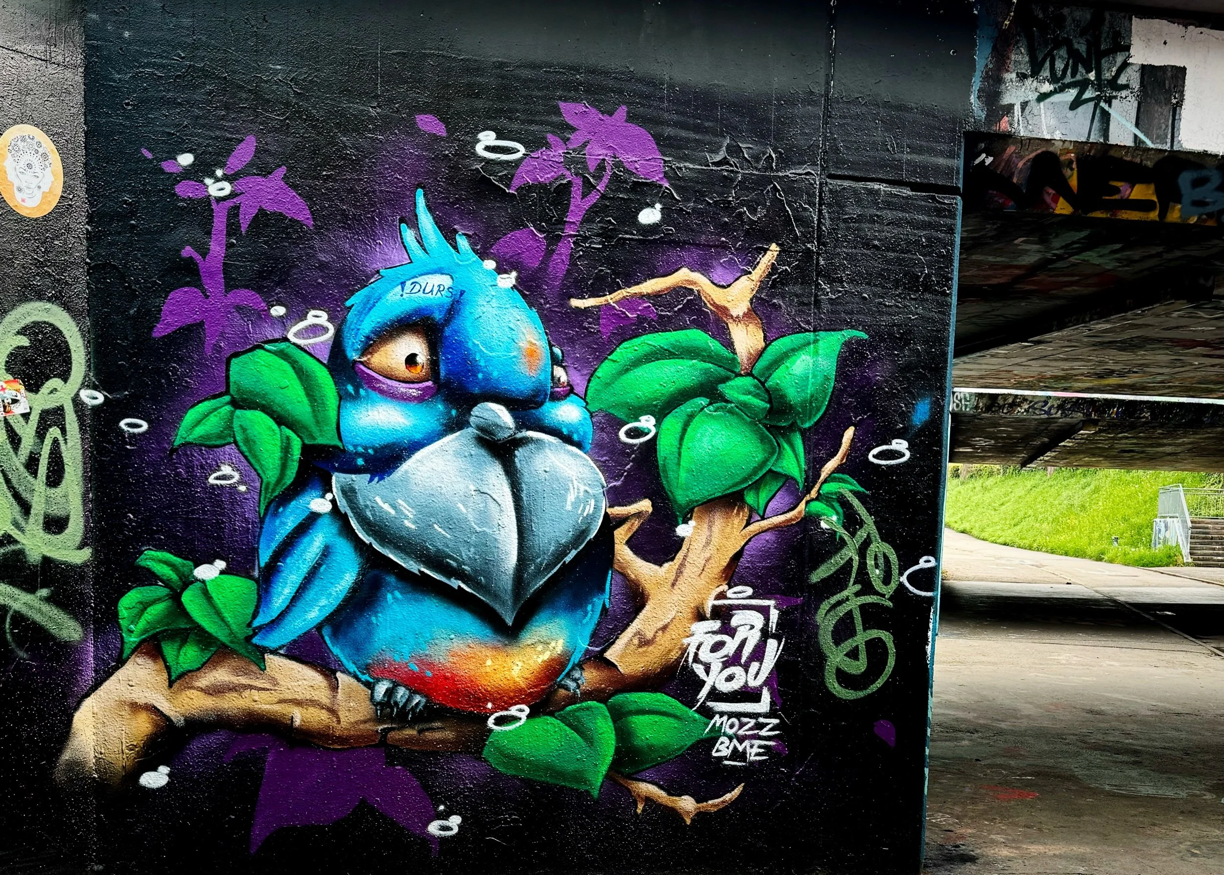 IMG_5113 9 Edited.jpeg