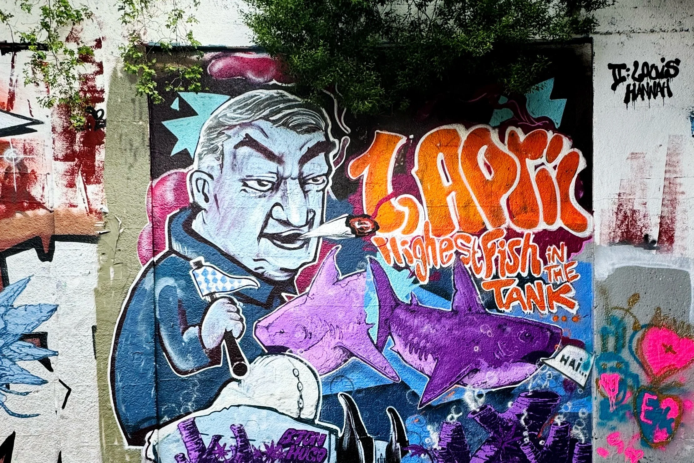 IMG_5253 14 Edited.jpeg