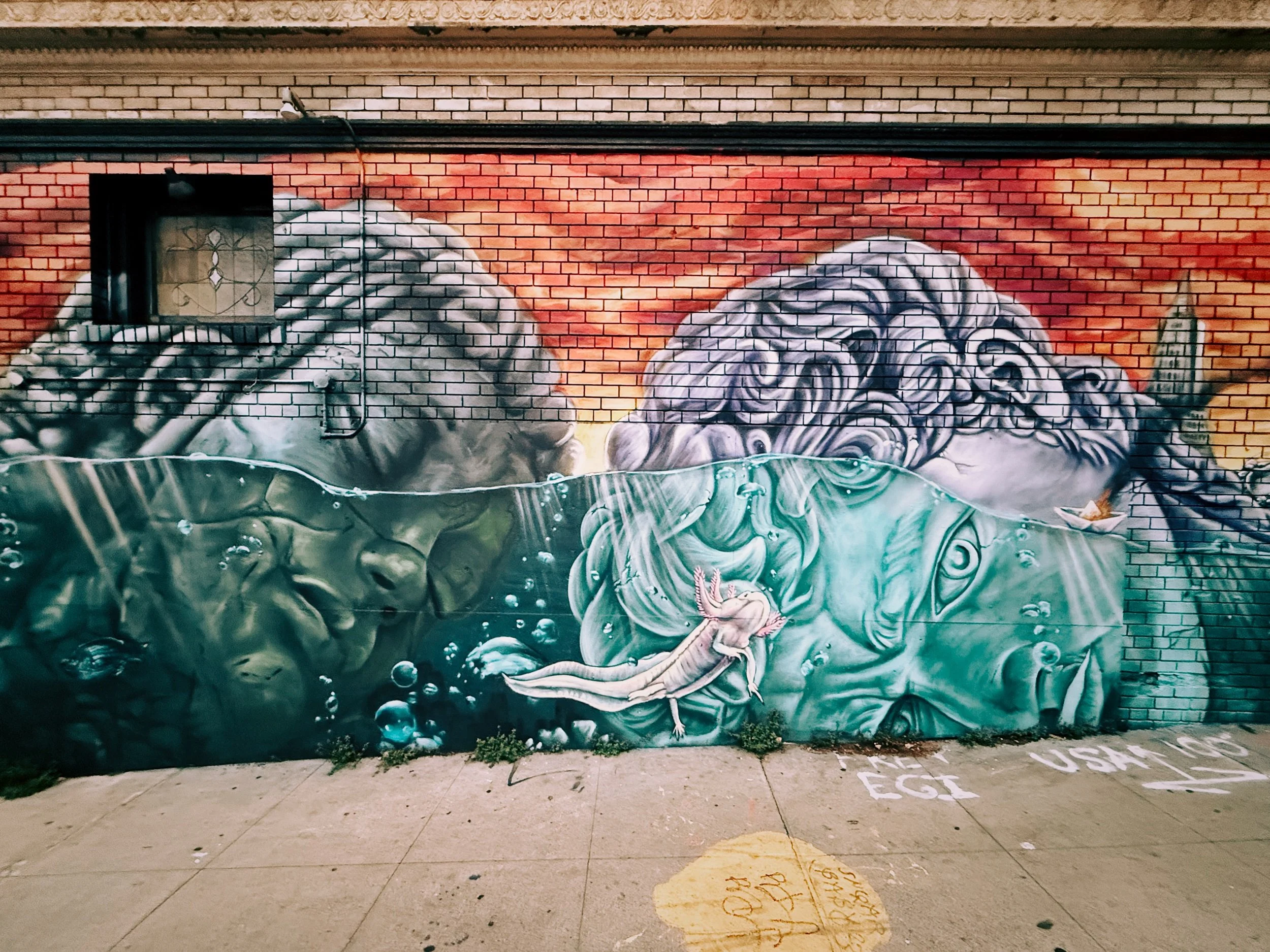 IMG_6046 Edited.jpeg