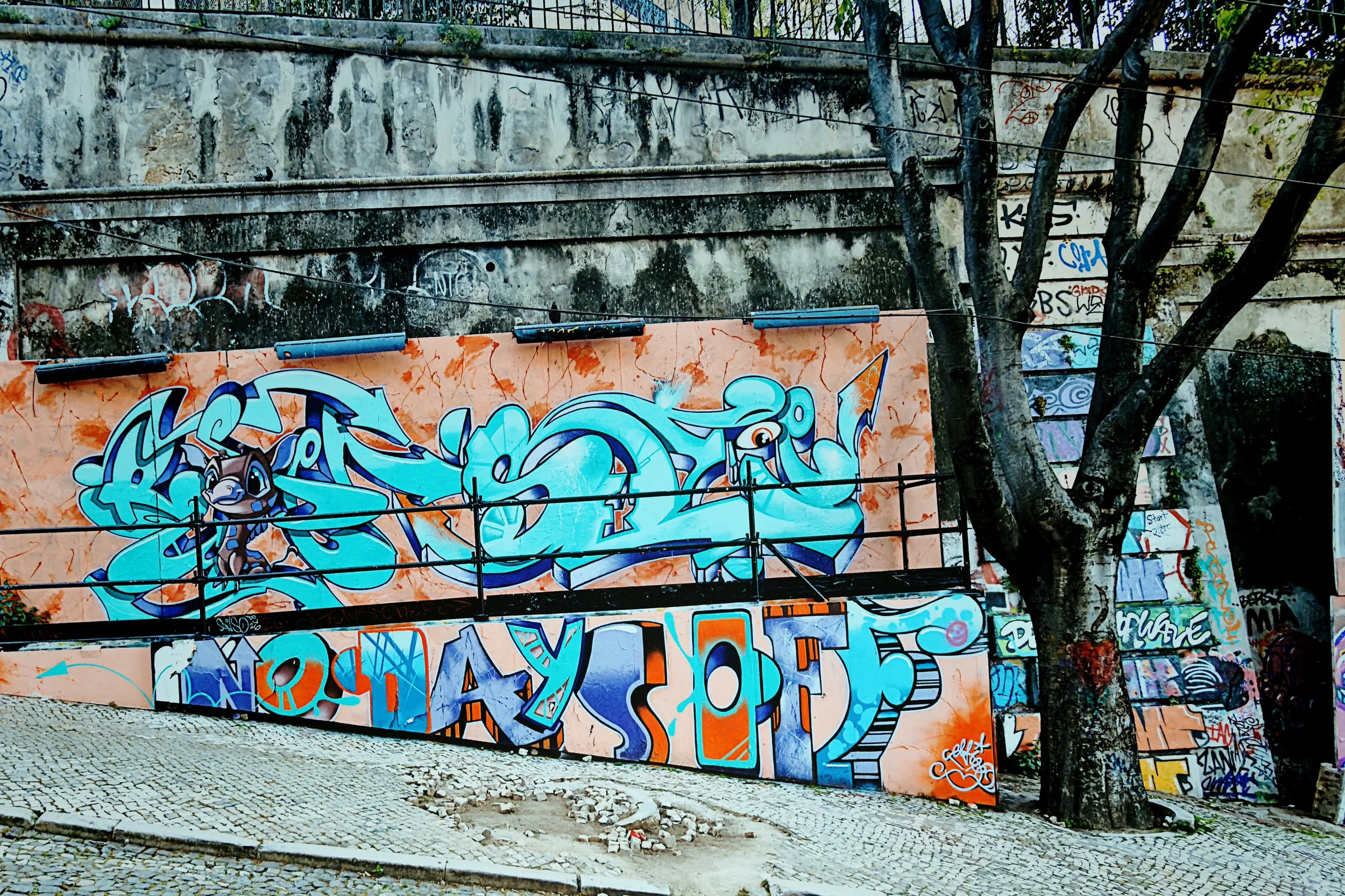 IMG_7920 32 Edited.jpeg