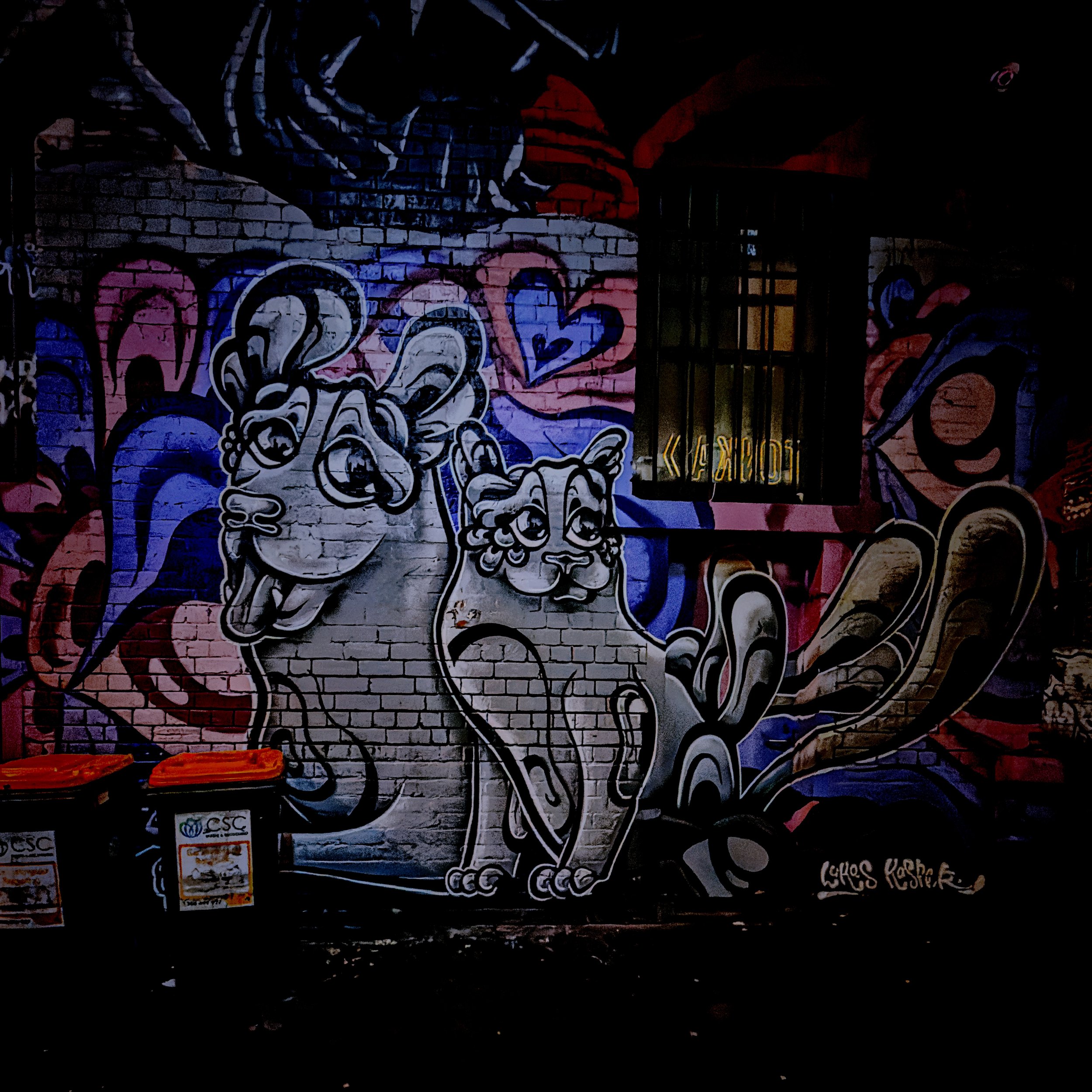 IMG_8118 19 Edited.jpeg