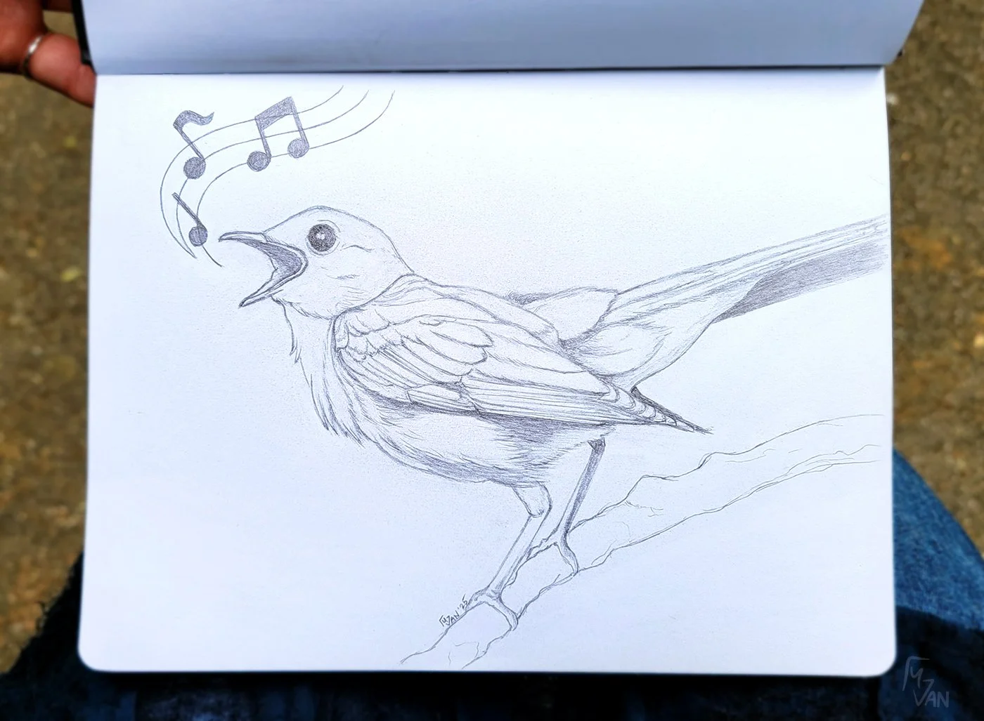mvan_Nightingale2025_P.jpg