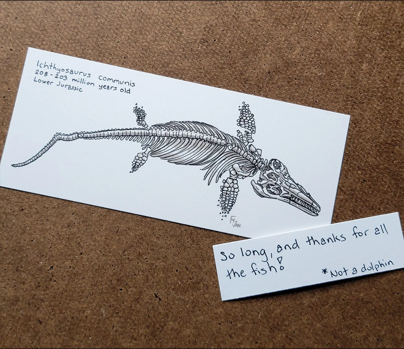 mvan_Ichthyosaurus2024_P.jpg