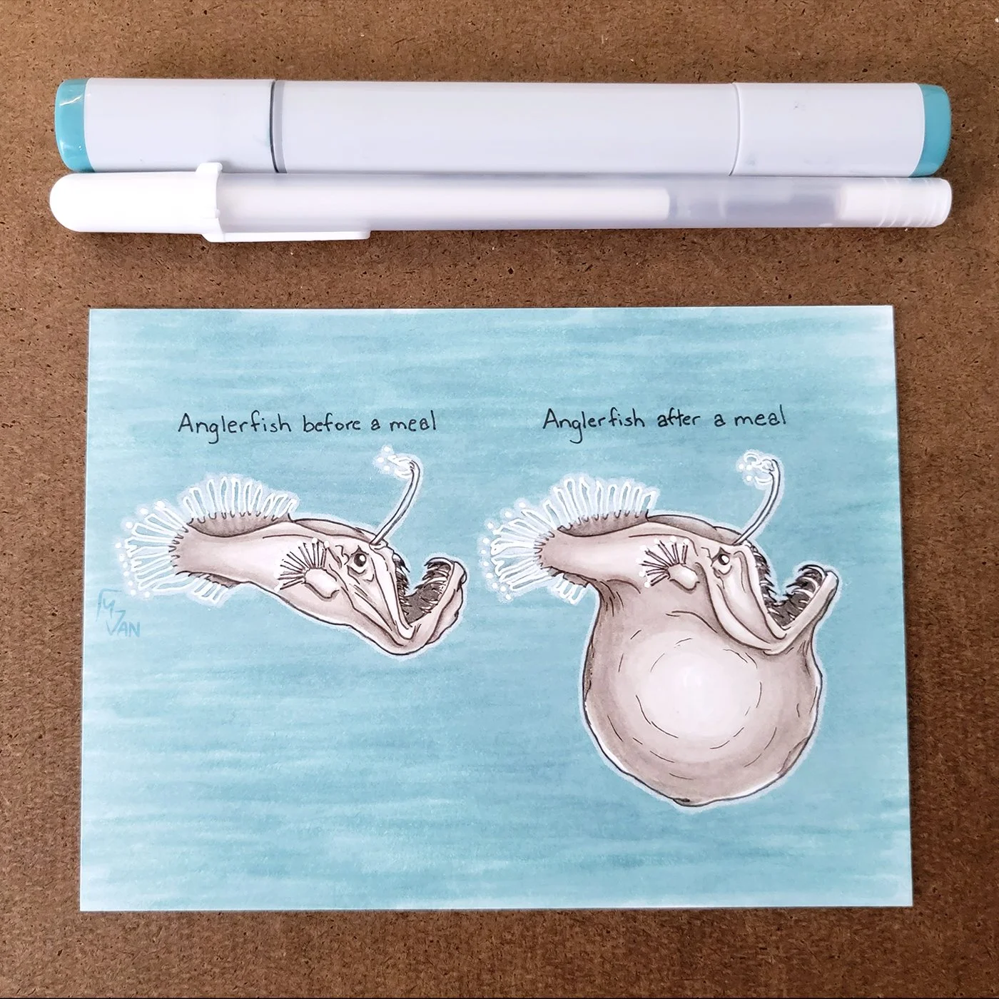 mvan_Anglerfish2024_P_01.jpg