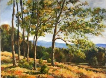 Austrian Landscape