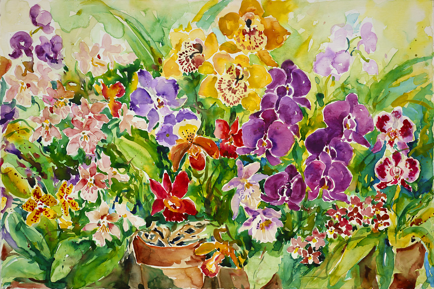 Orchids 24 x36.jpg