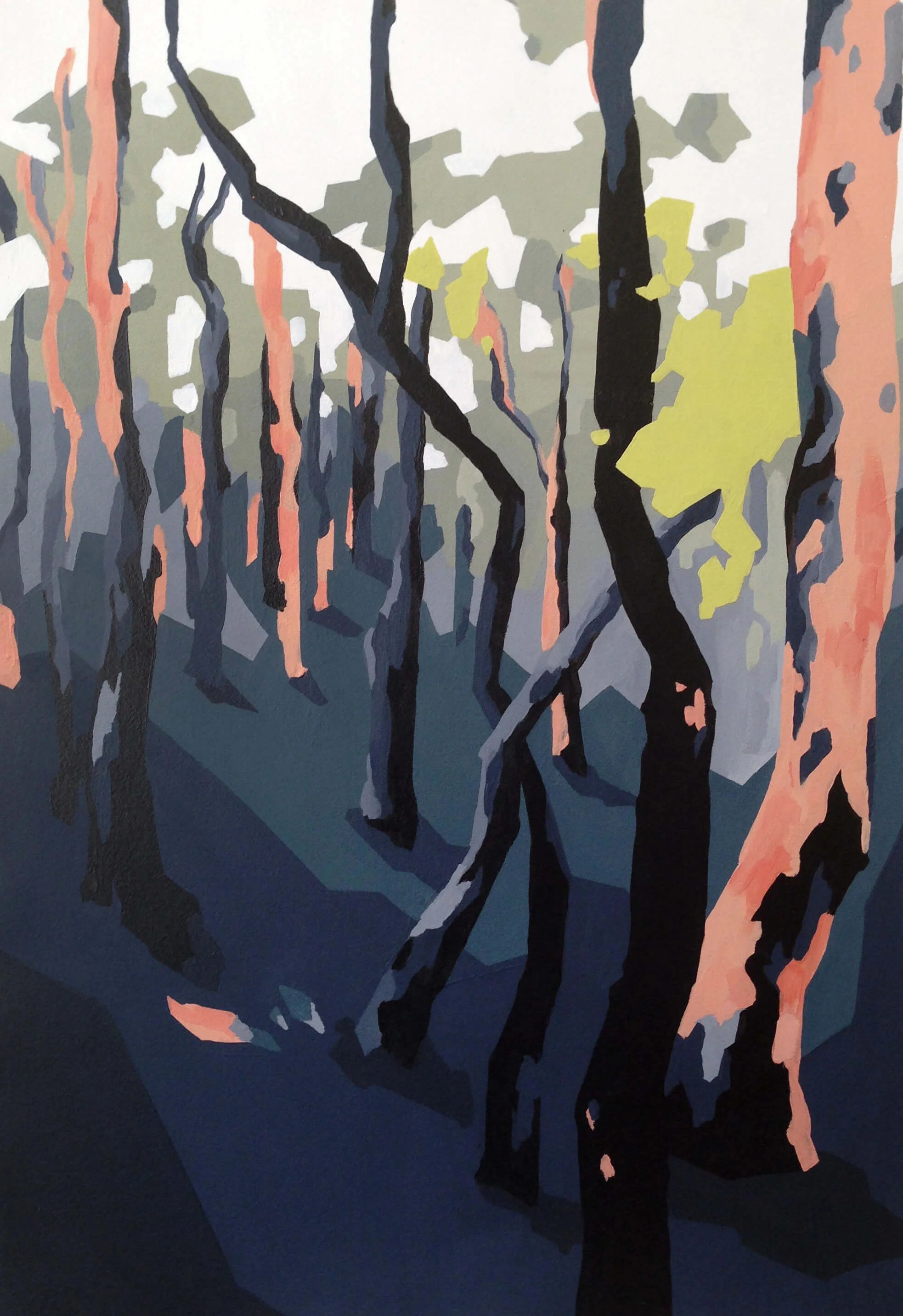 north balgowlah backburn.jpg