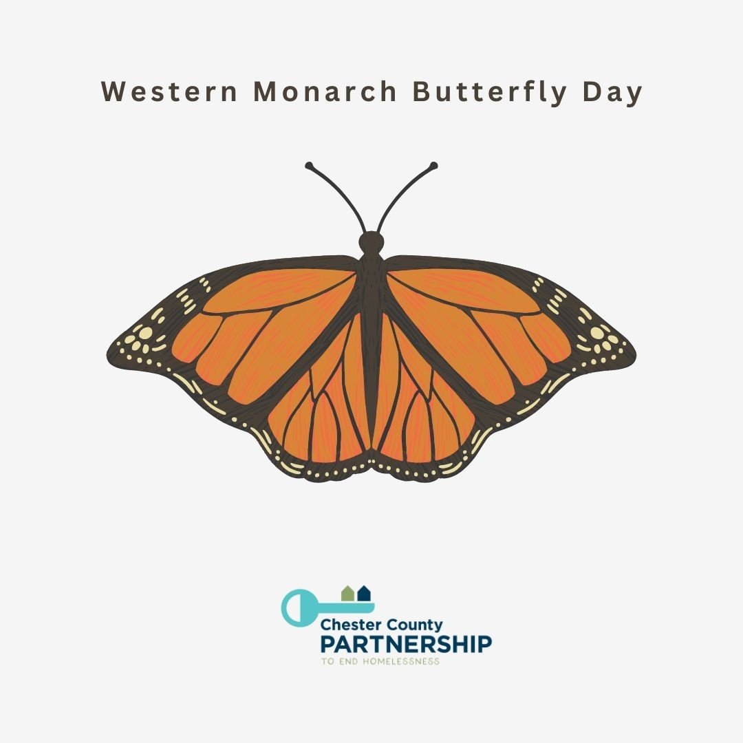 February 5th is also known as Western Monarch Day. This day is dedicated to celebrating and raising awareness about the western monarch butterfly, famous for their bright orange wings and fall migratory patterns to the warmer parts of our nation. 

L
