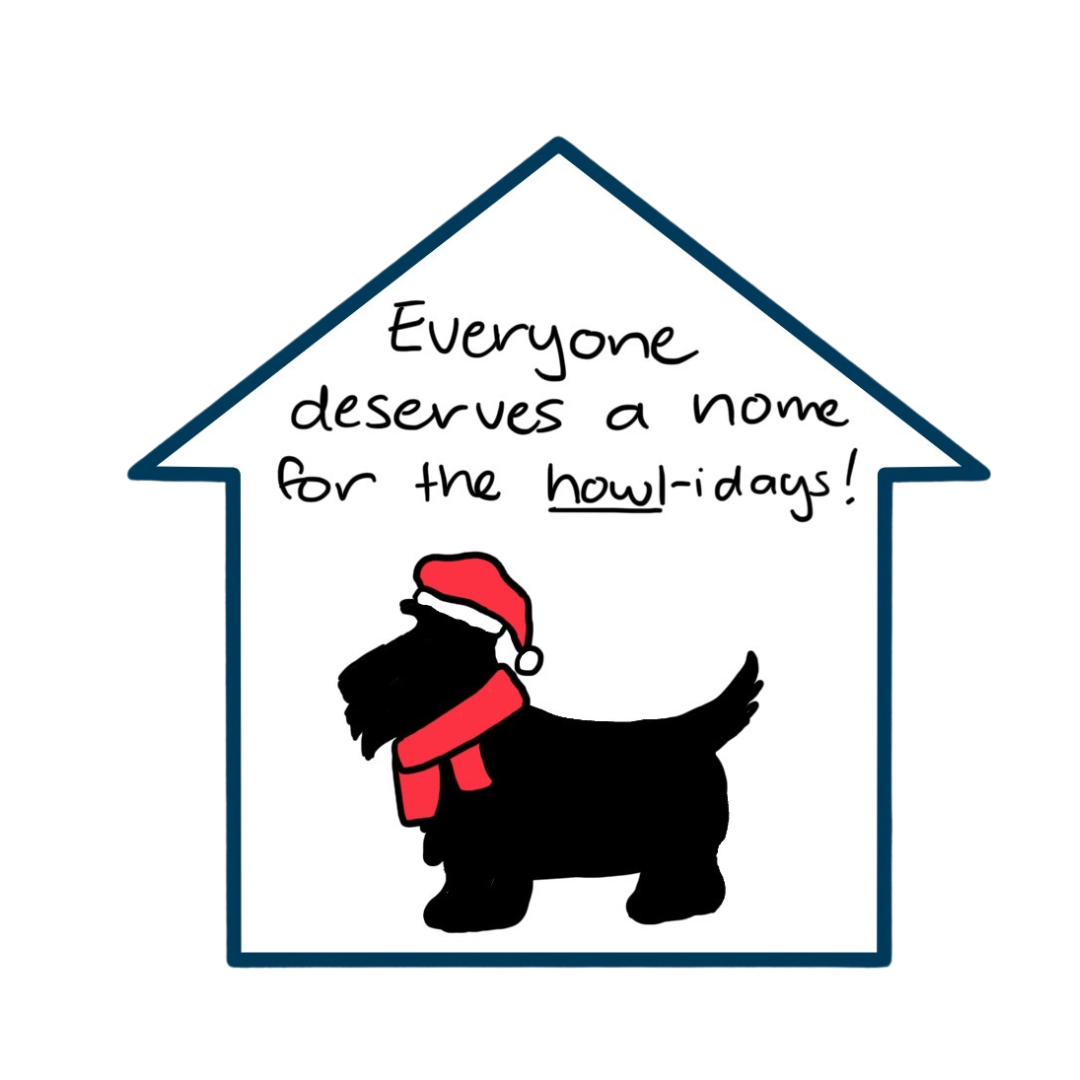 Untitled design (6).png