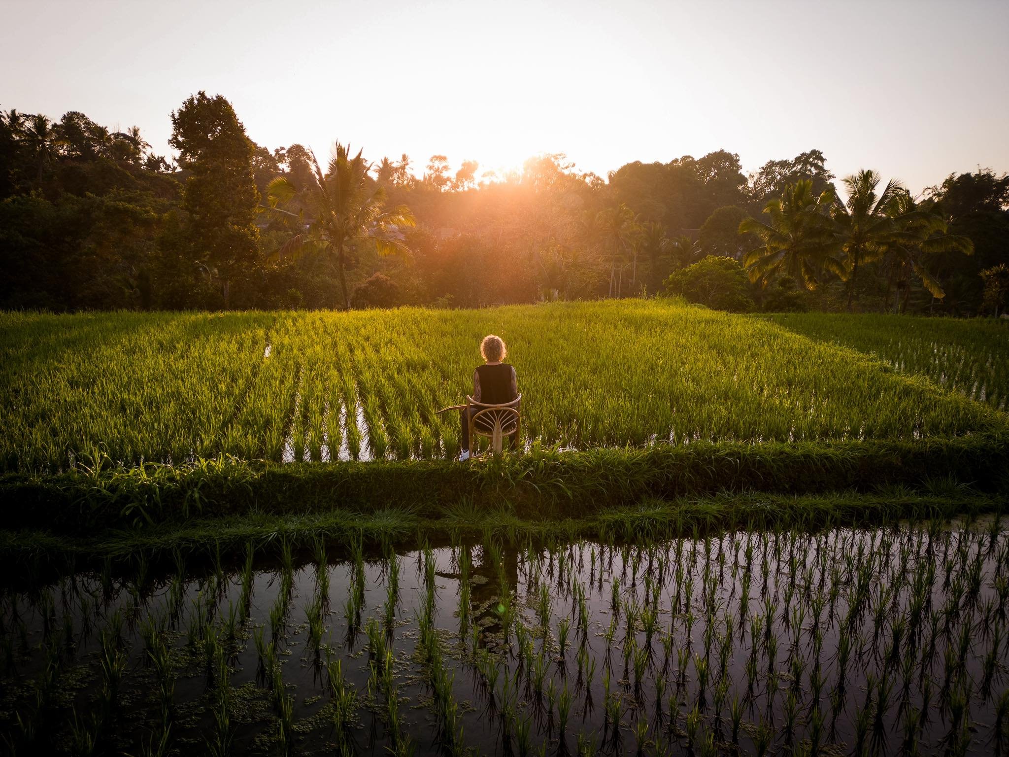 Thomas Rice Fields.jpg