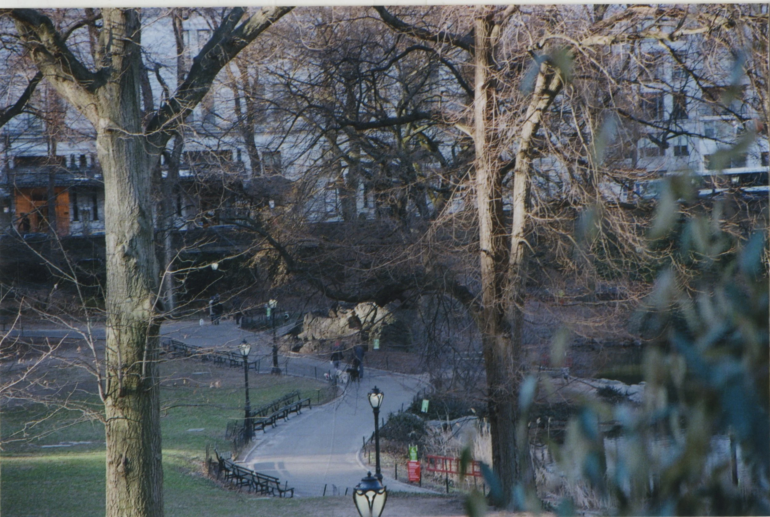 centralpark.jpeg