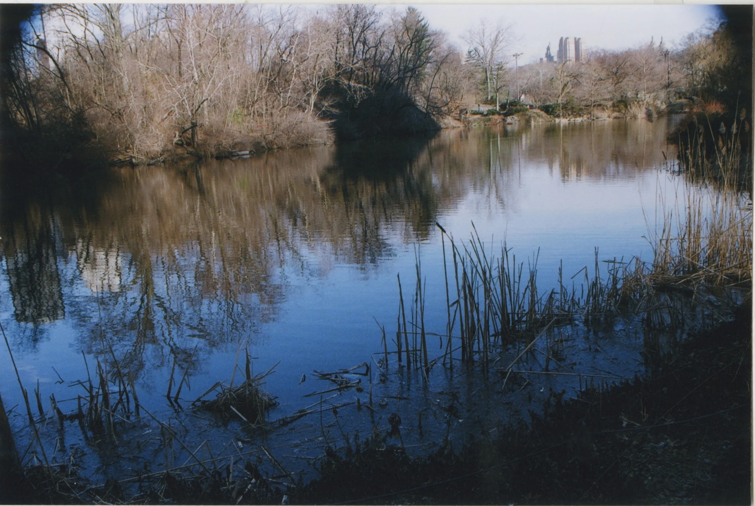 pond_uk.jpeg