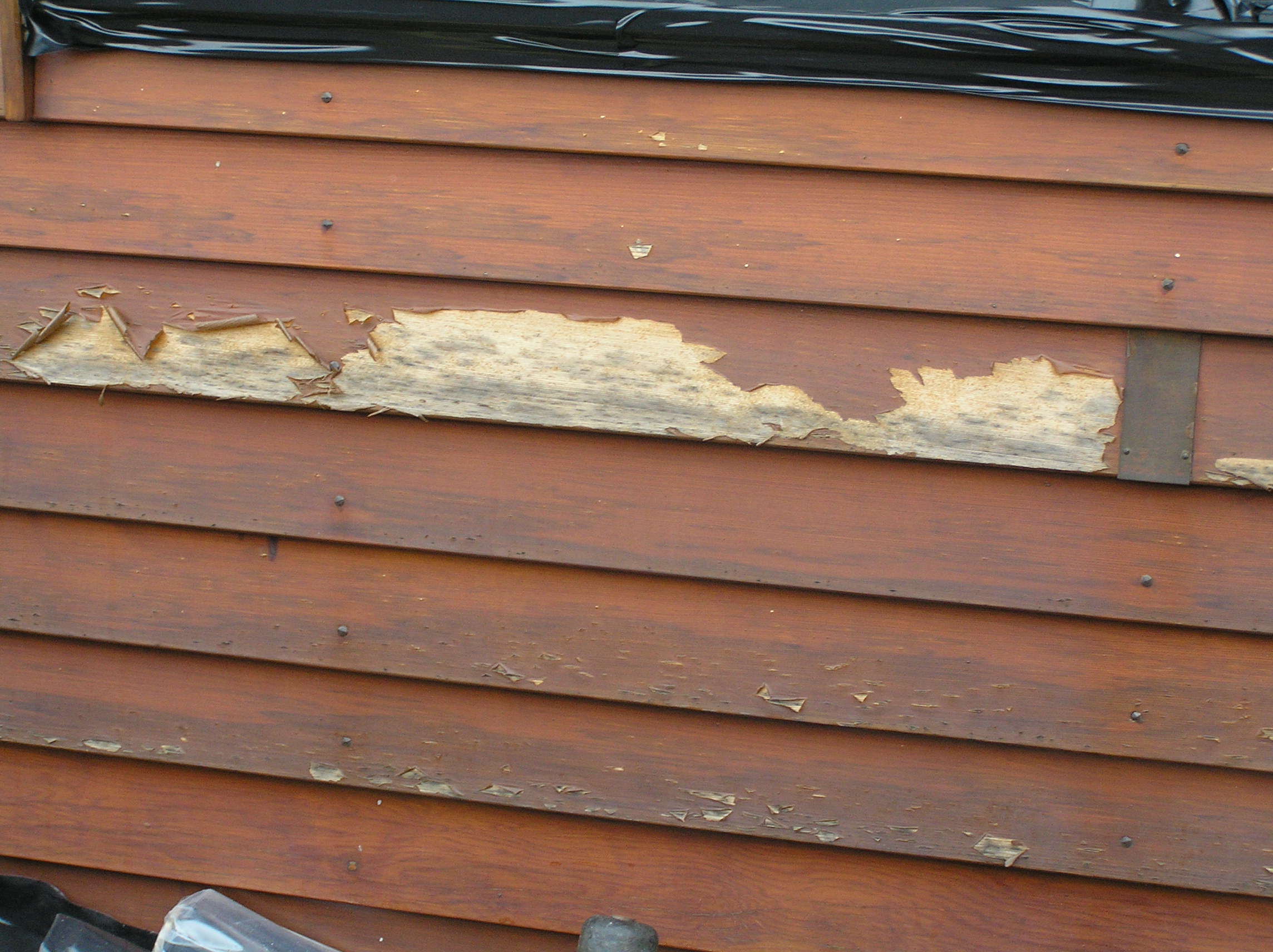Ugly and unwanted: broken-down film on cedar