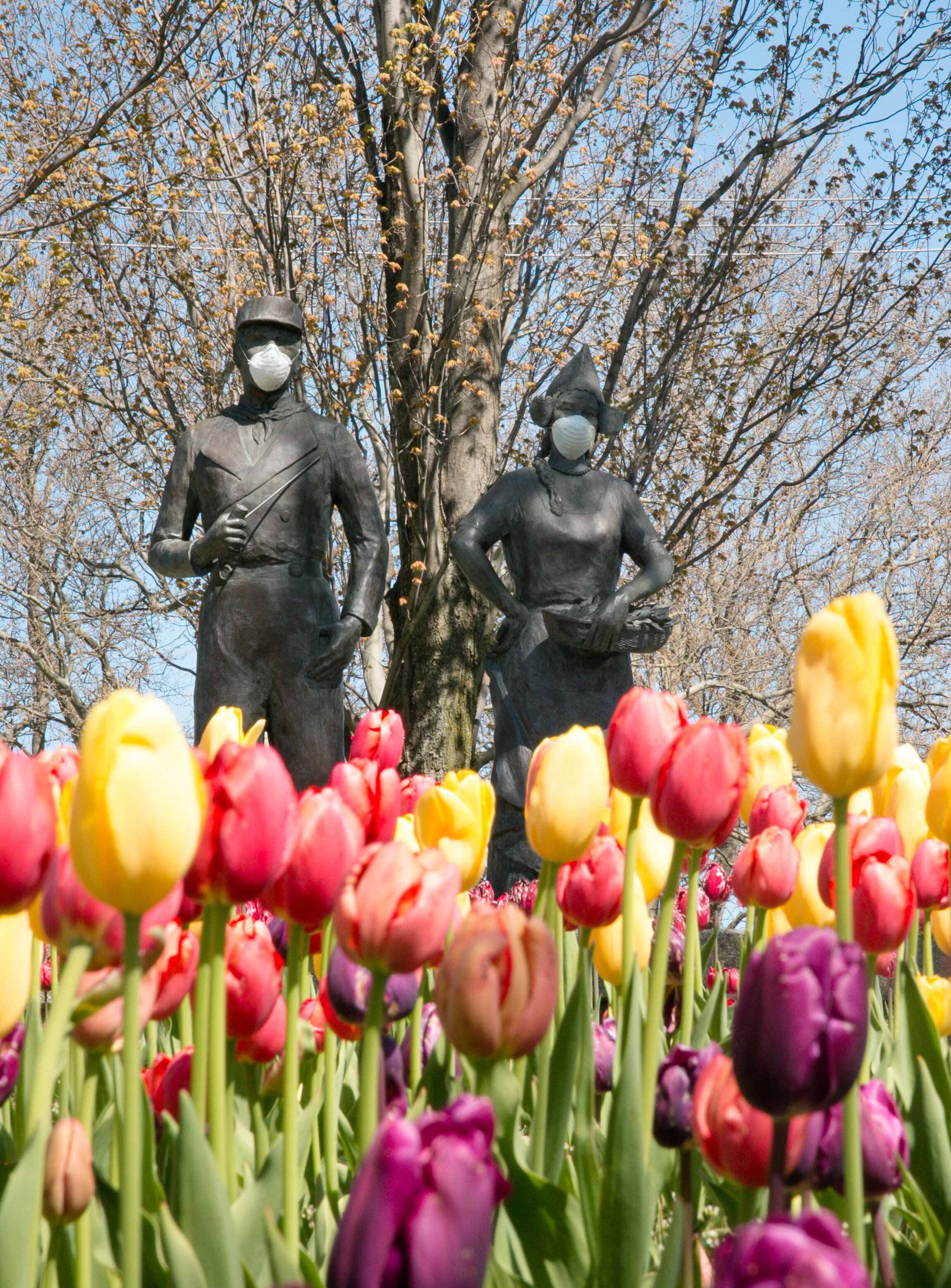 tulip time-119.jpg