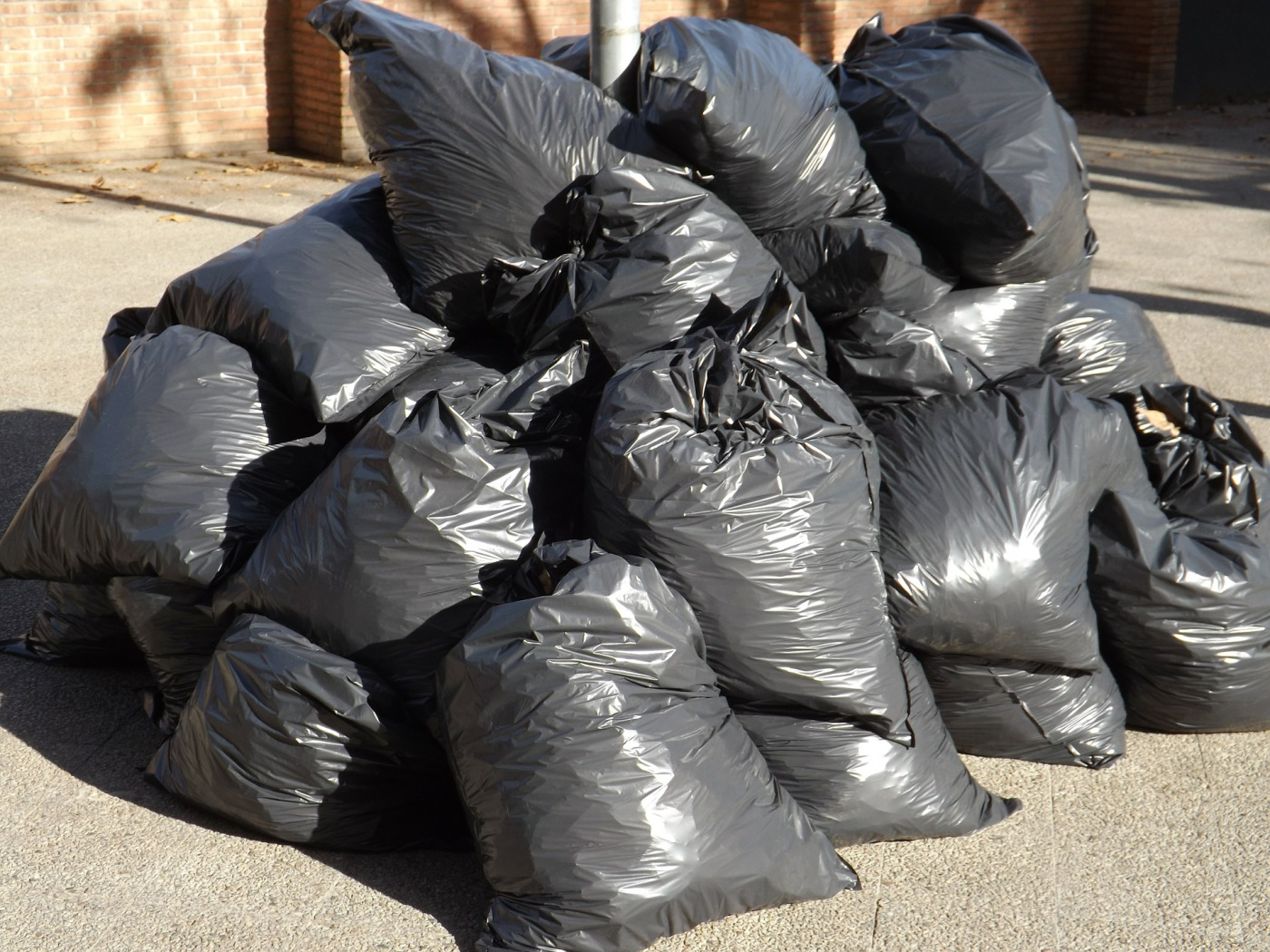 This is a sanitised stock photo – ours was more ‘bursting bags of crap’. Quantity was the same, though.