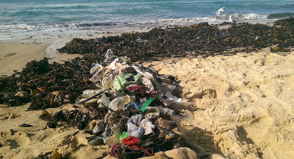 Our ‘artificial seaweed’ pile in the front of the real stuff