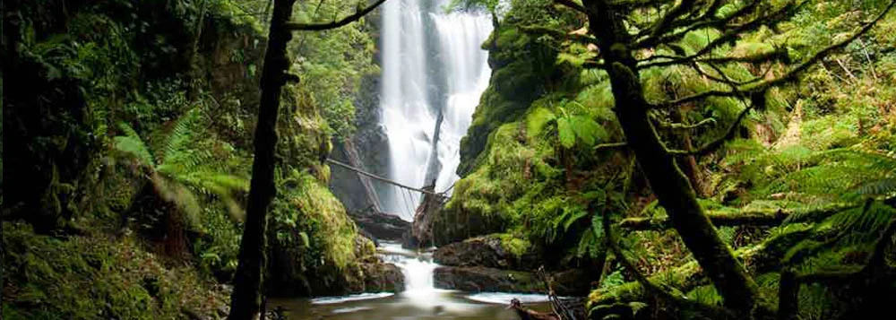 TARKINE.jpg
