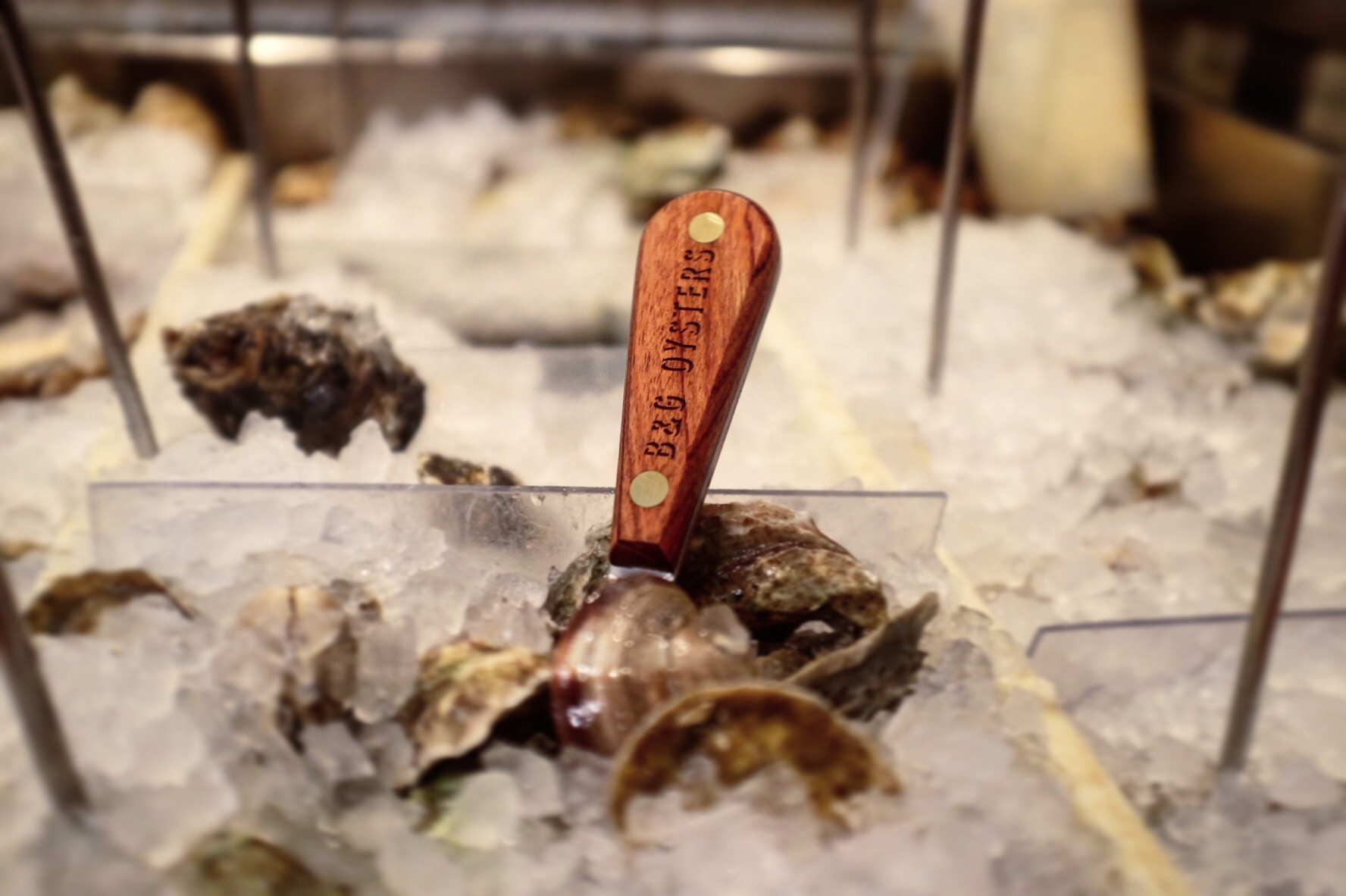 Wood Oyster knife MS.jpg