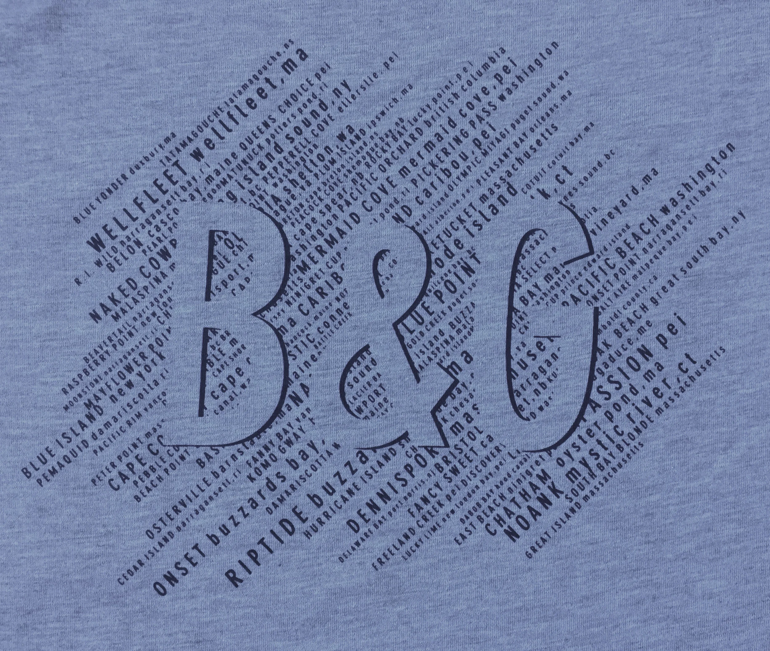 Gray Back Detail.JPG