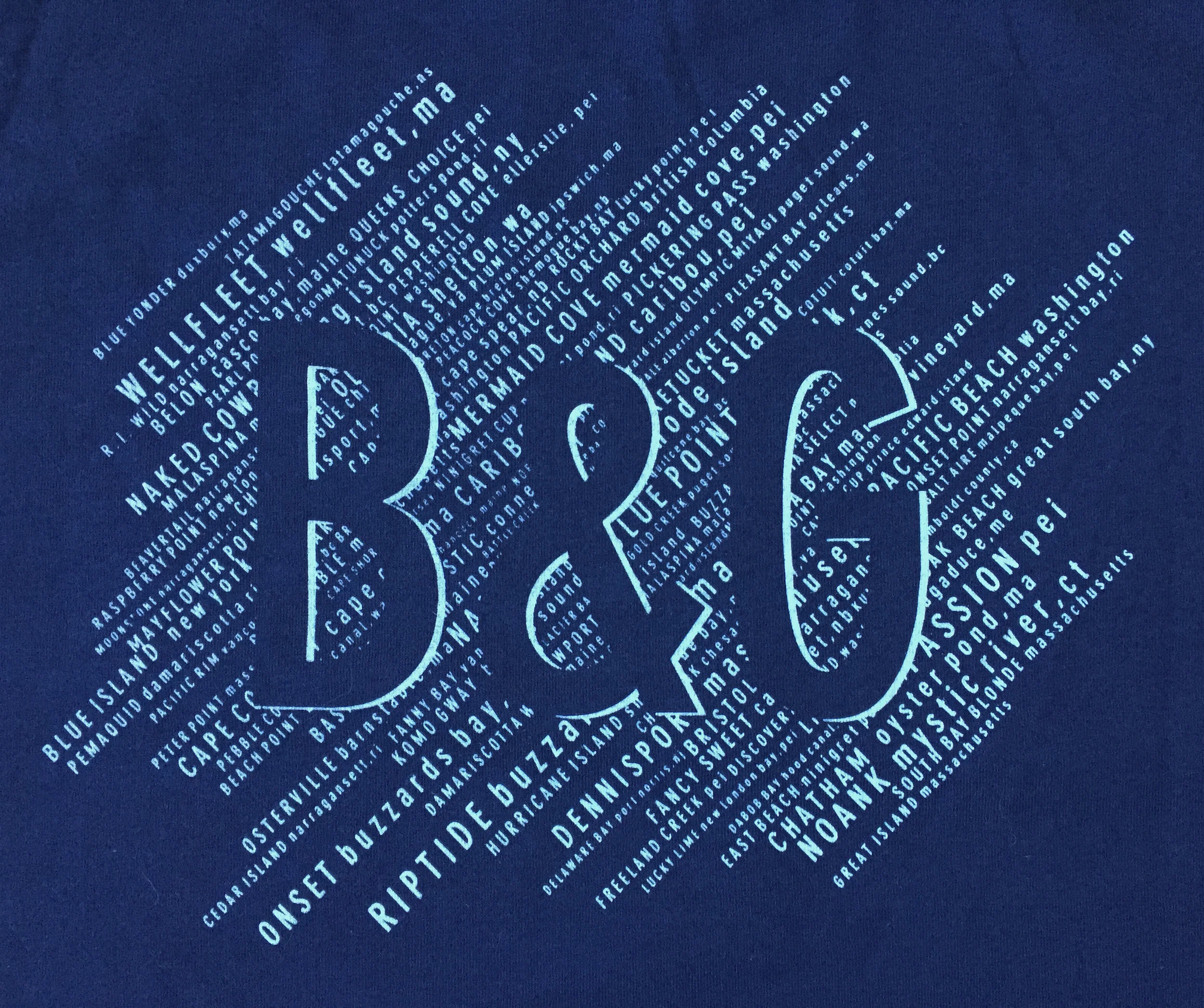 Blue Back Detail.JPG